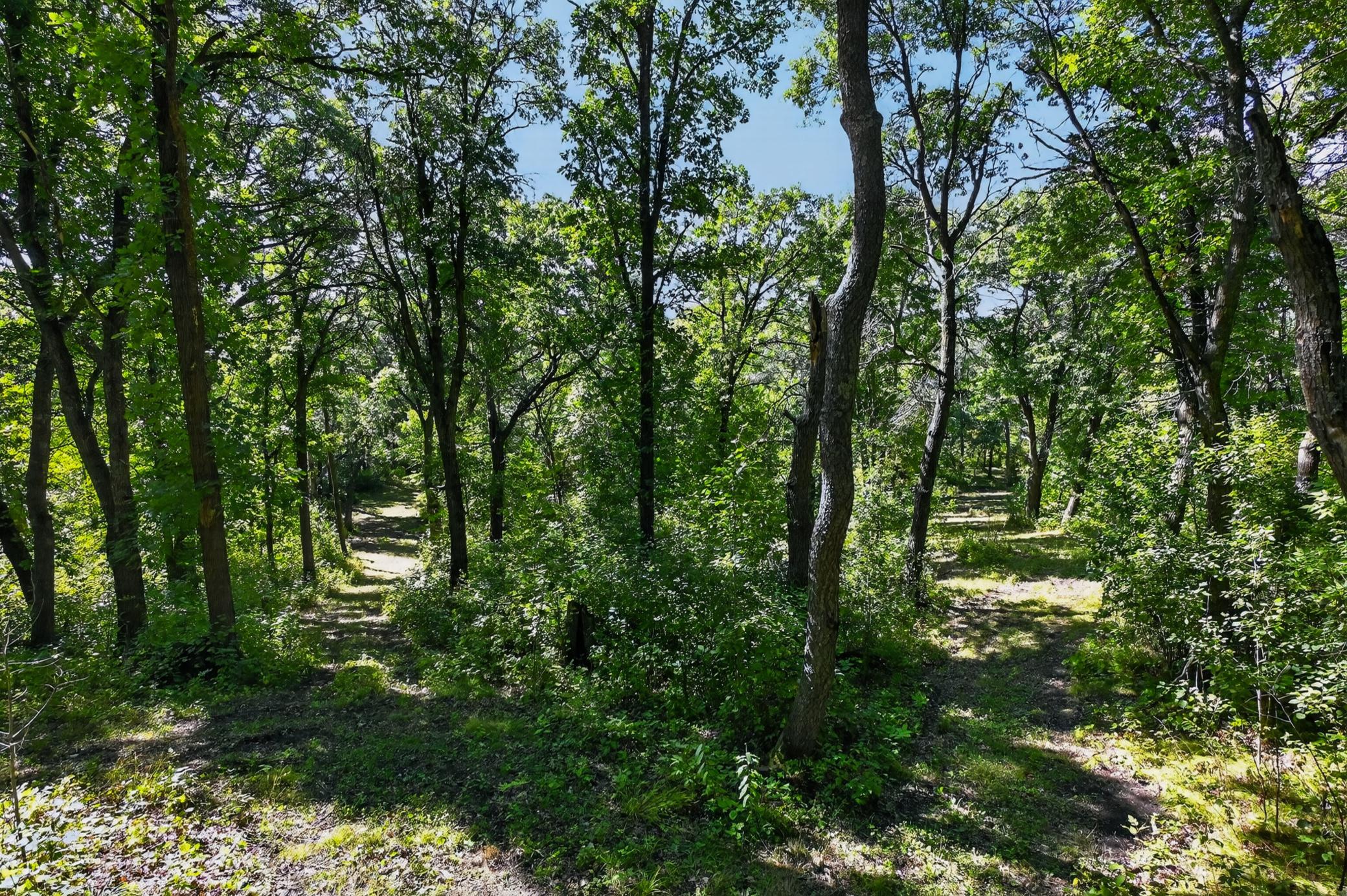 main property photo 59