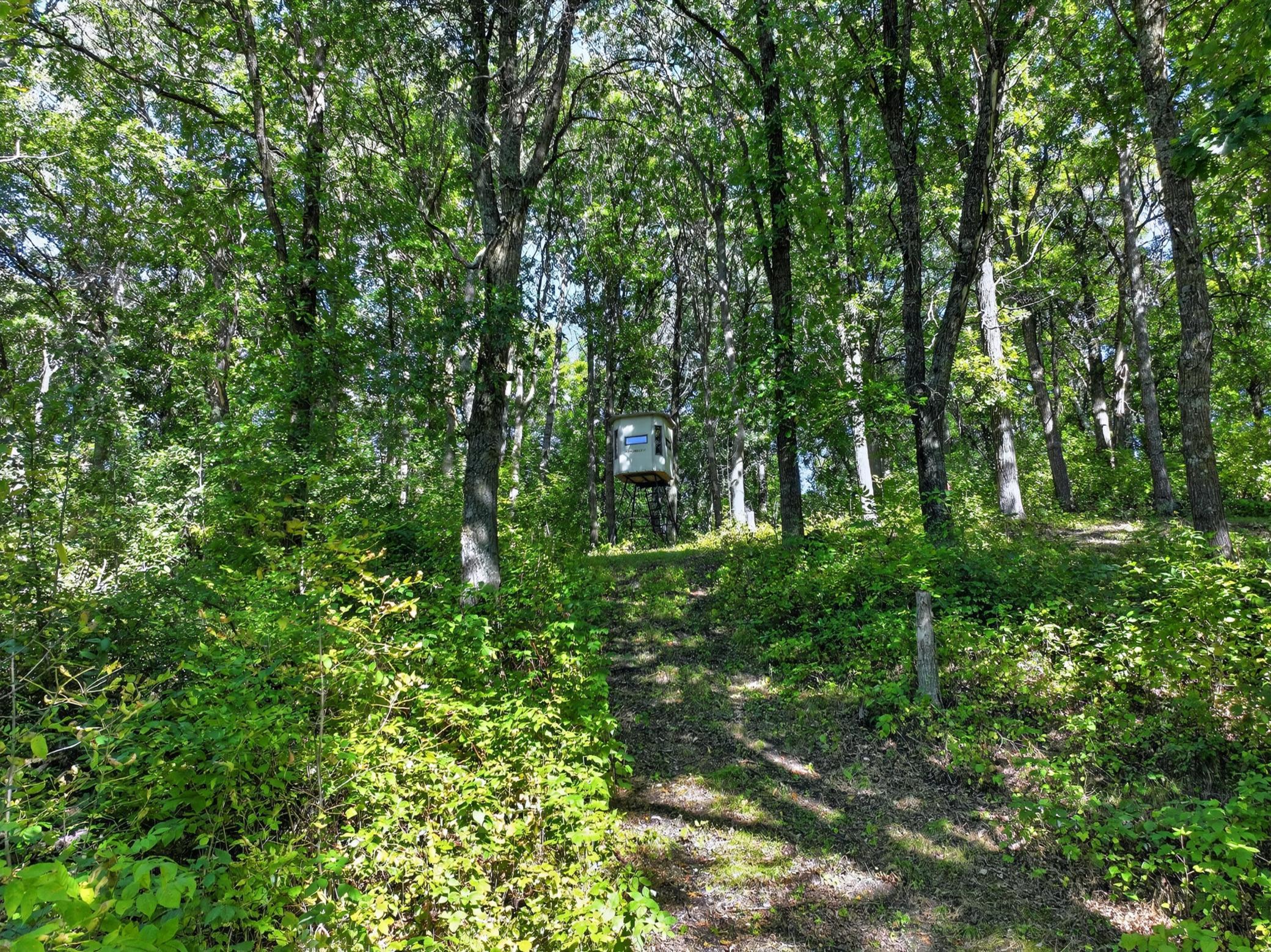 main property photo 60
