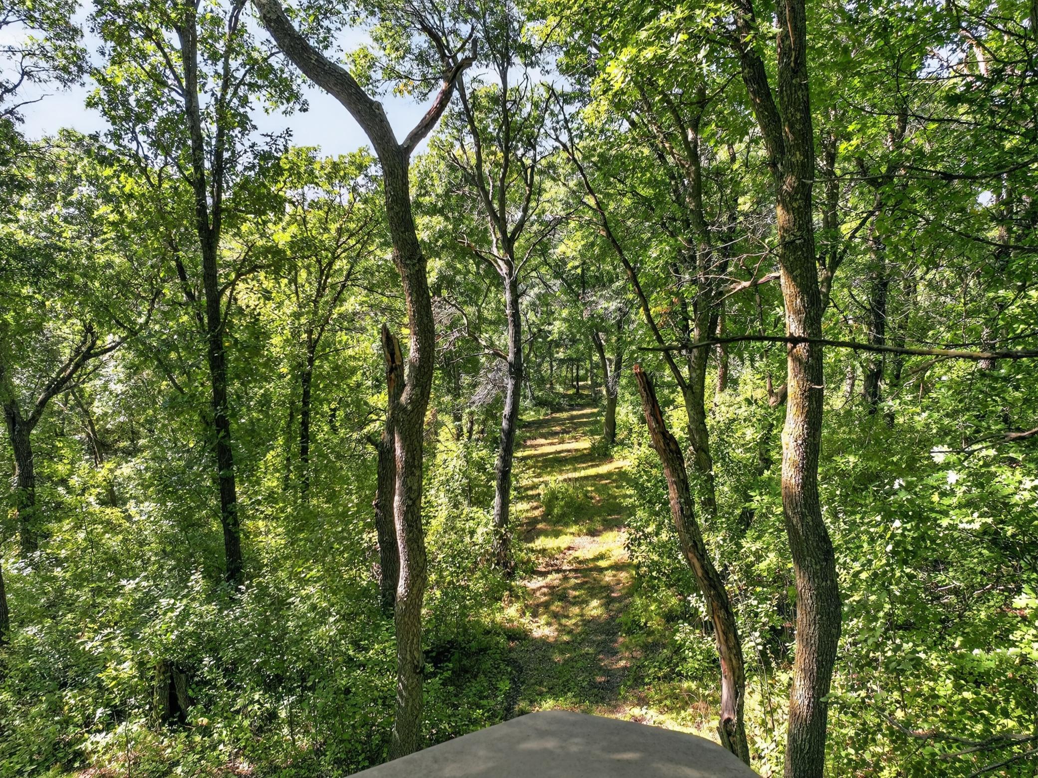 main property photo 61