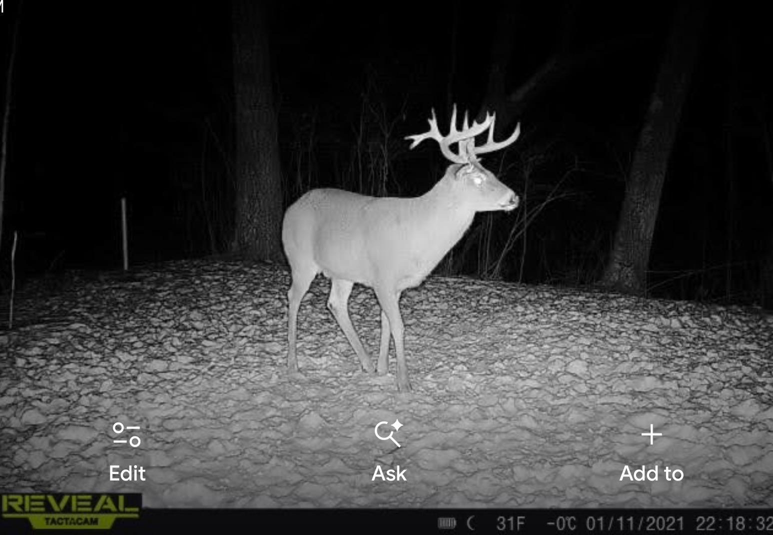 main property photo 81