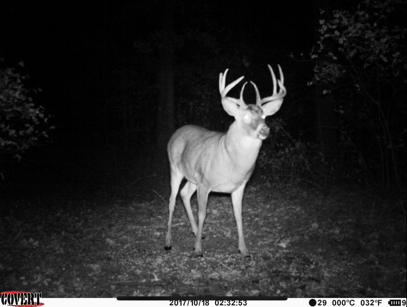 main property photo 86