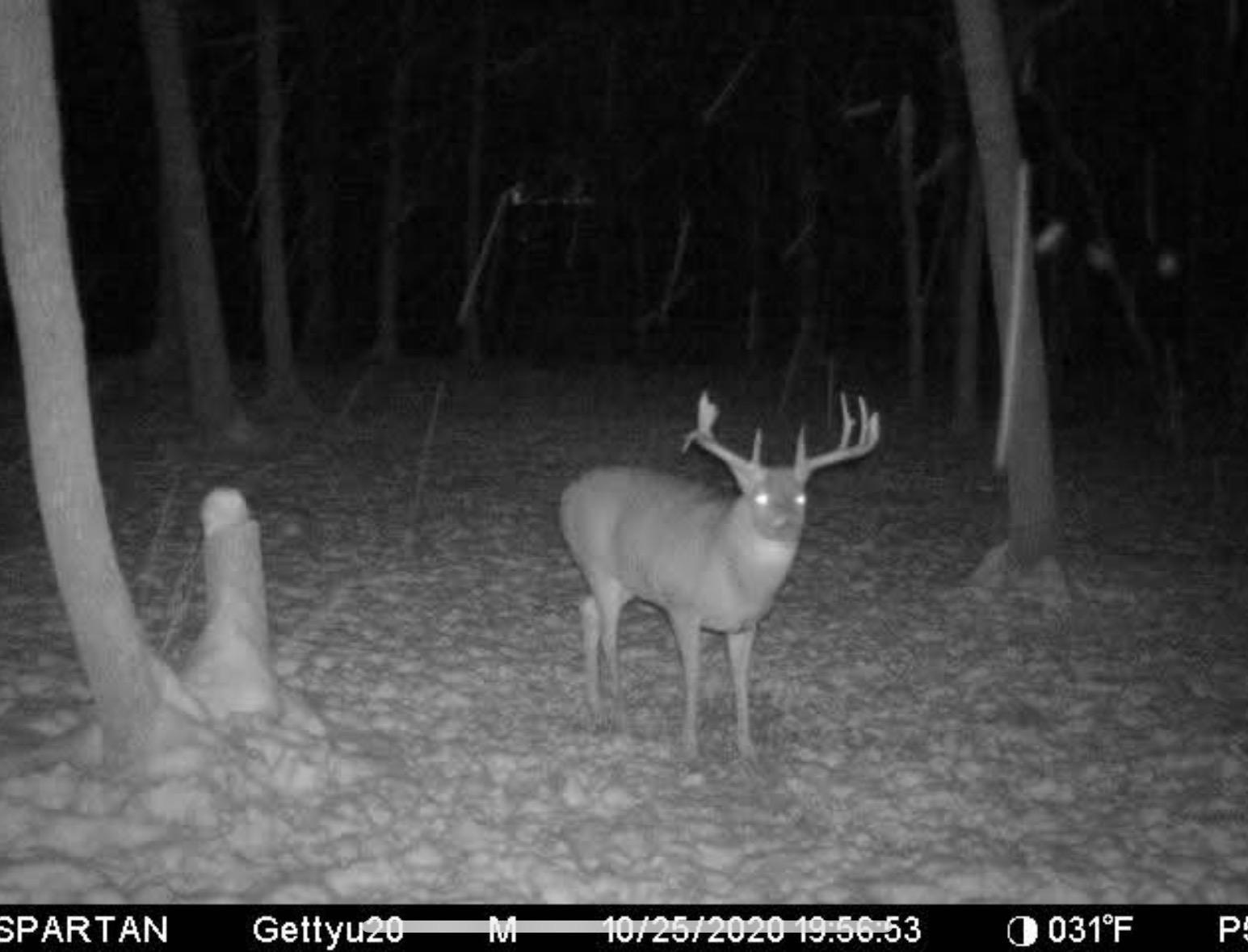 main property photo 87