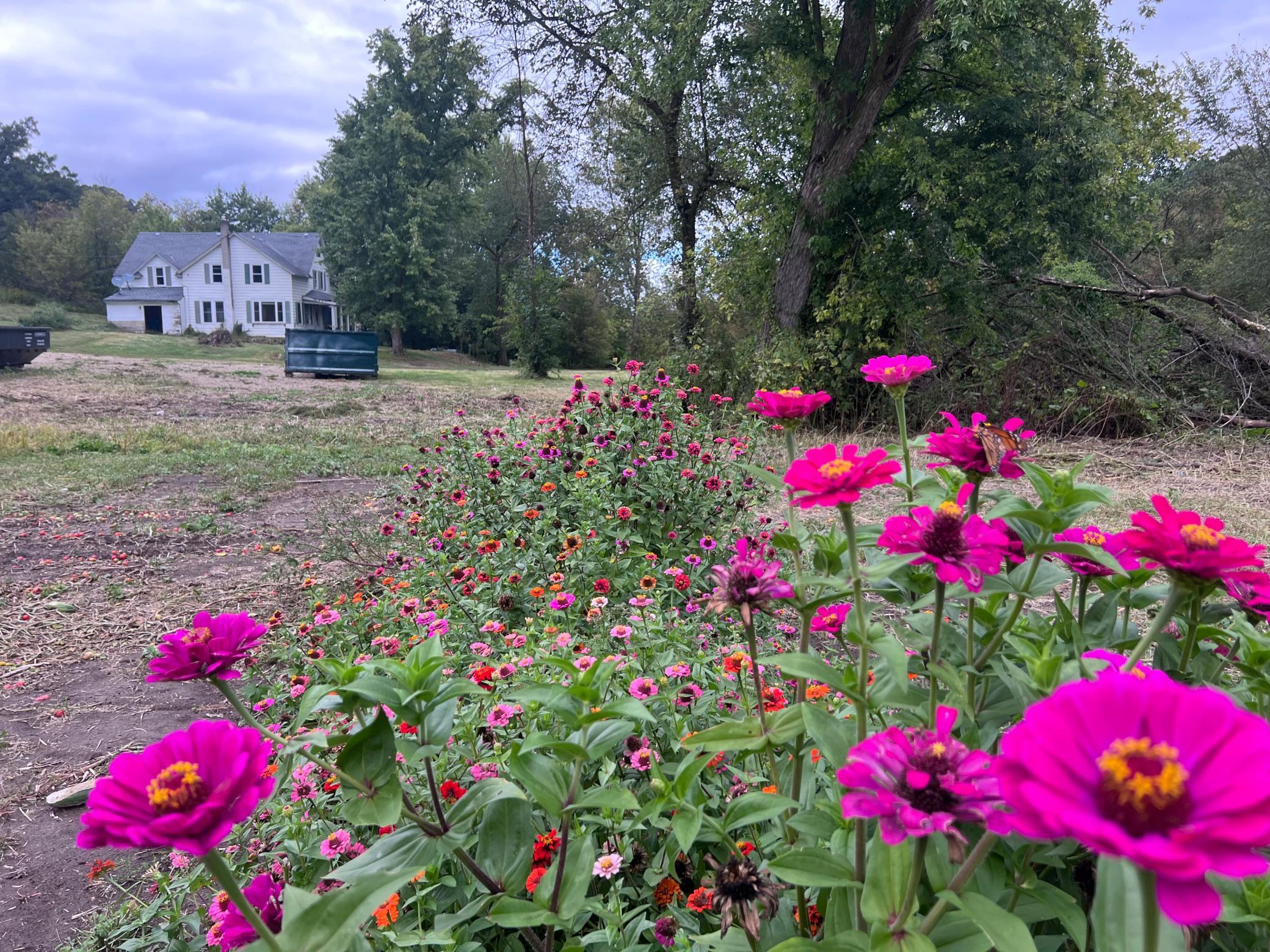 main property photo 15