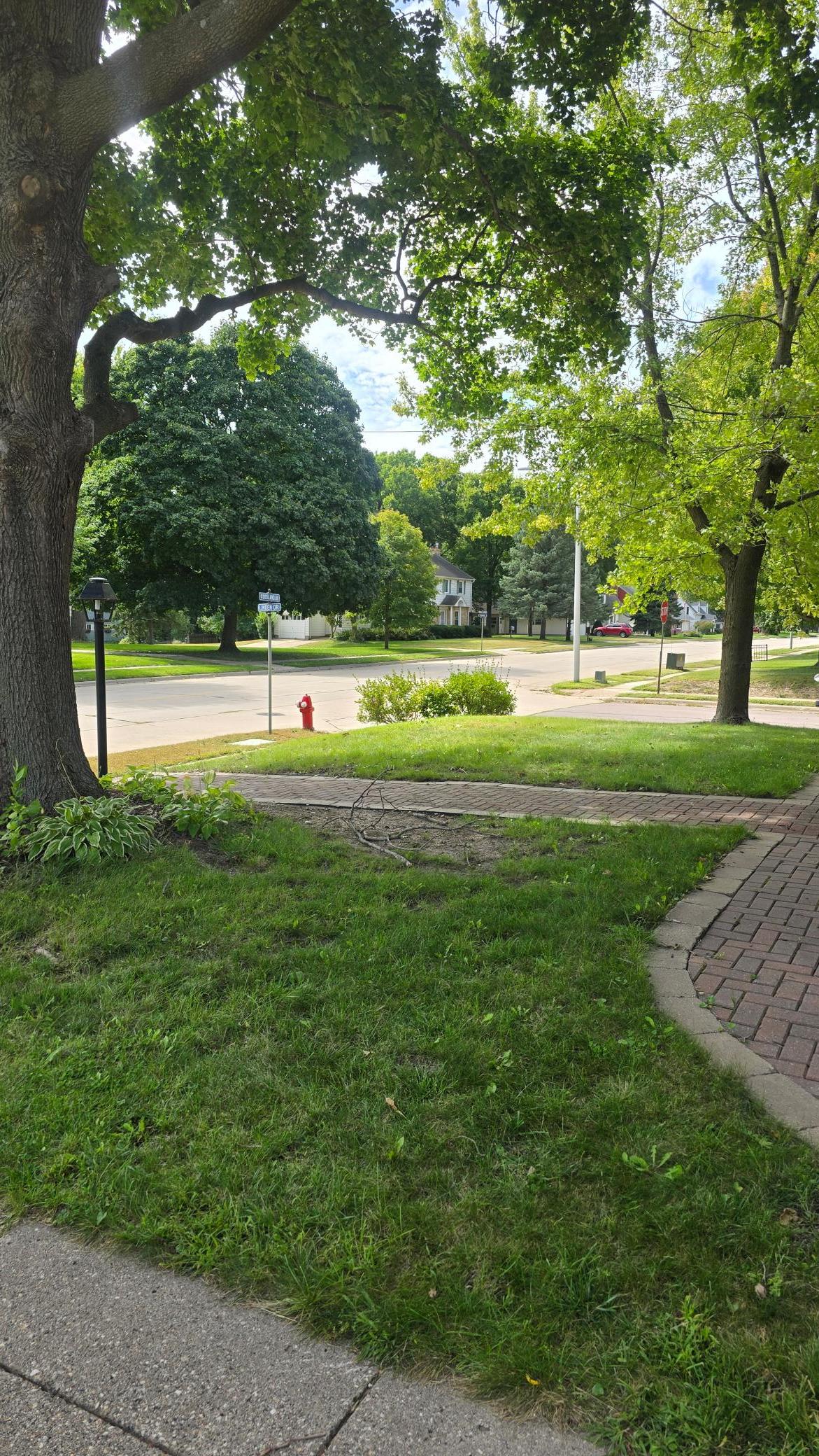 main property photo 48