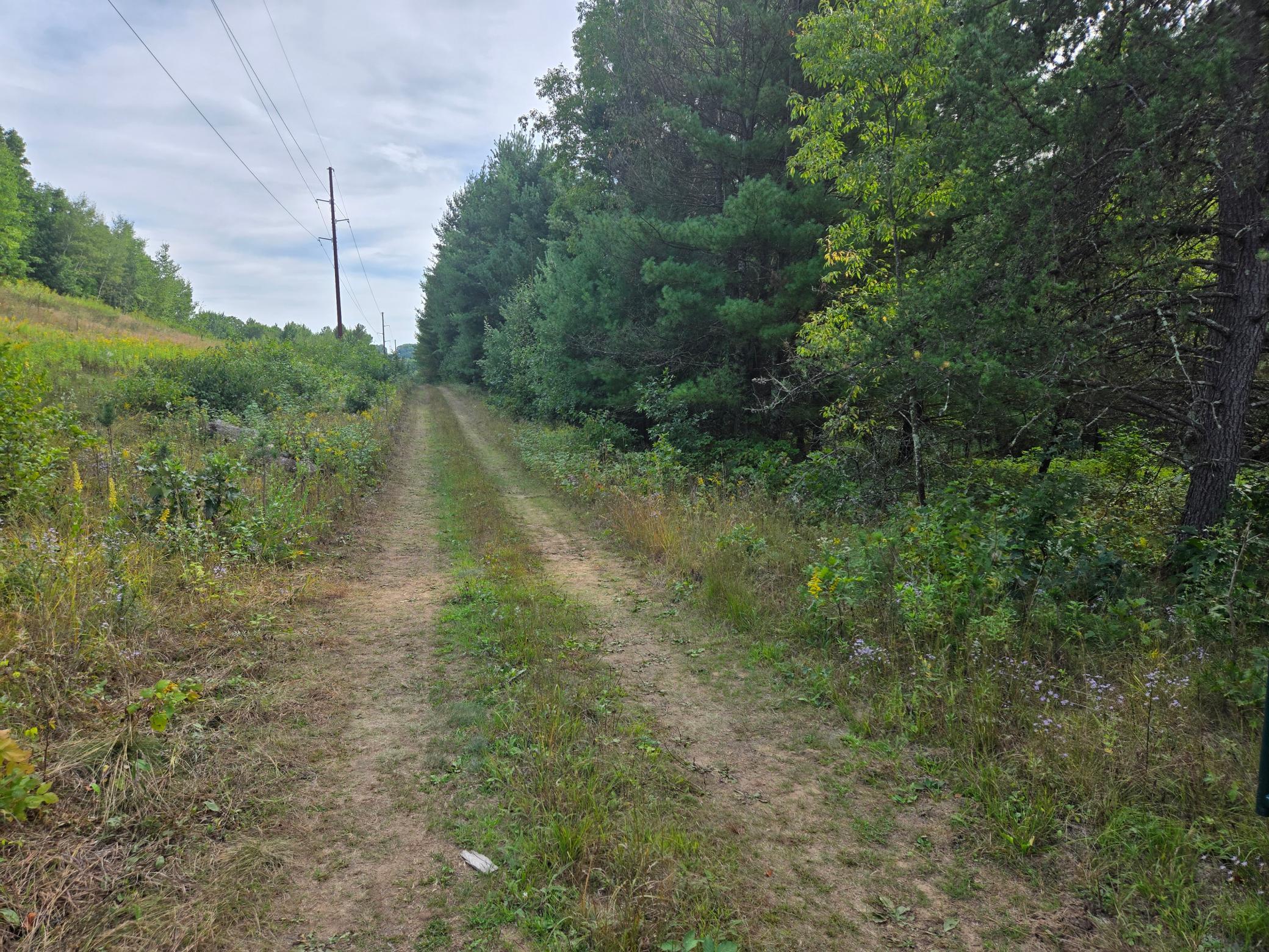 main property photo 17