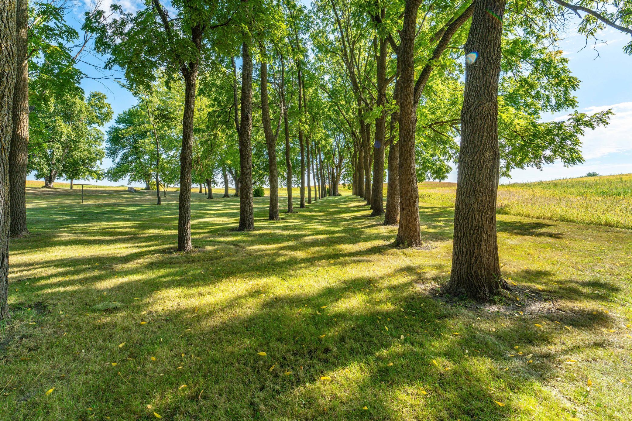 main property photo 55