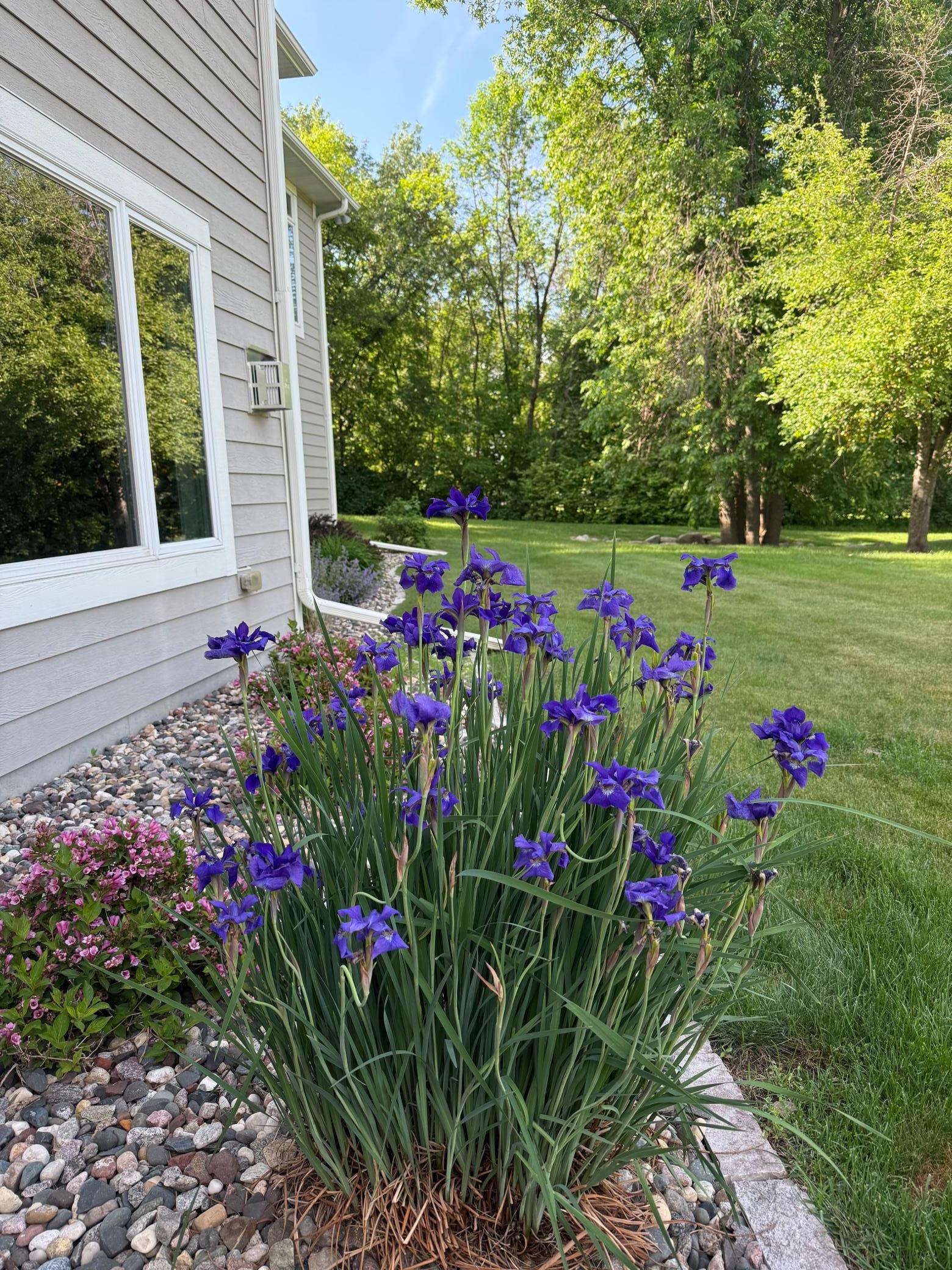 main property photo 50
