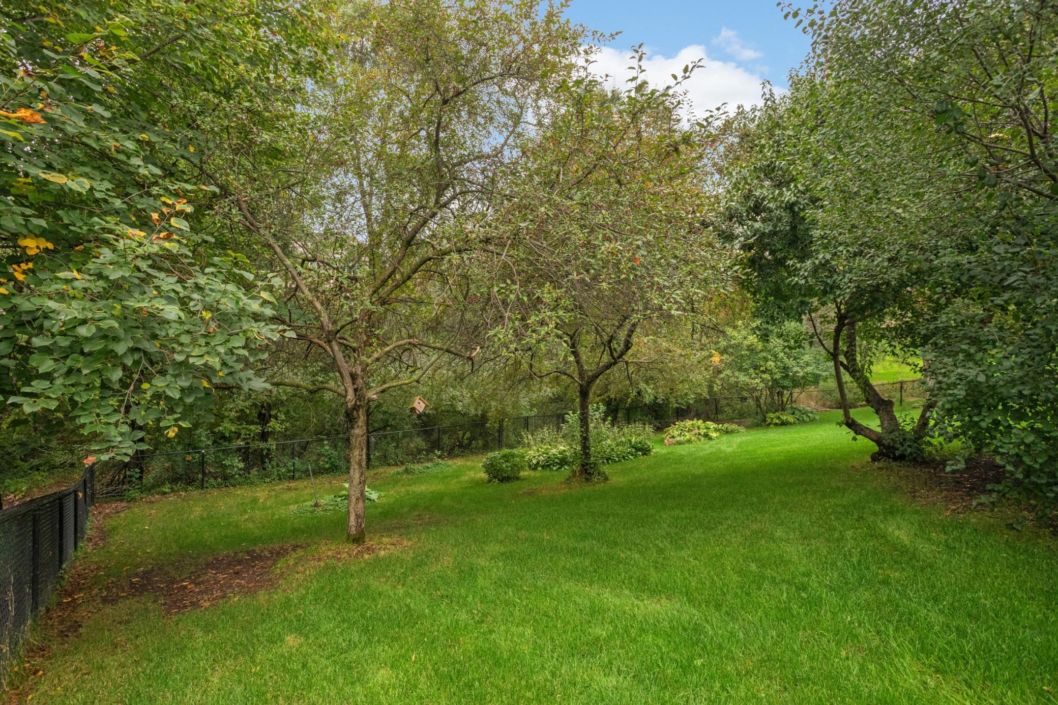 main property photo 41