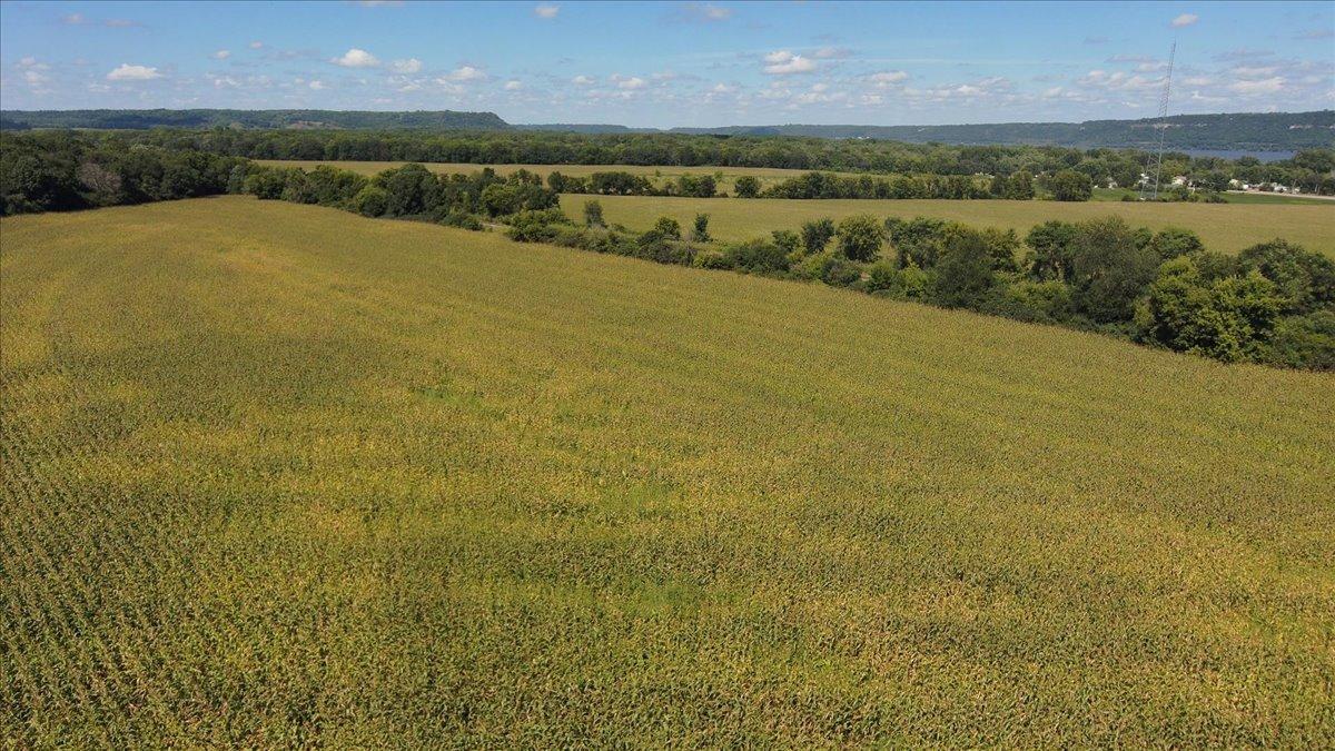 main property photo 100