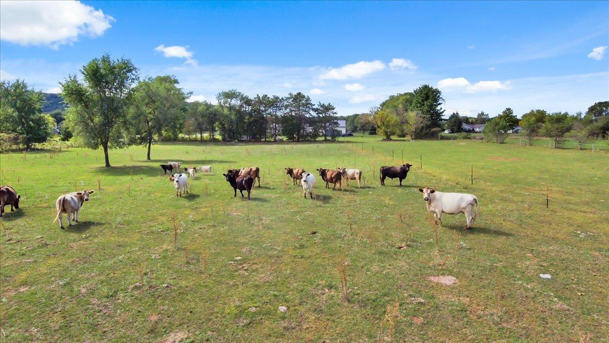 main property photo 70