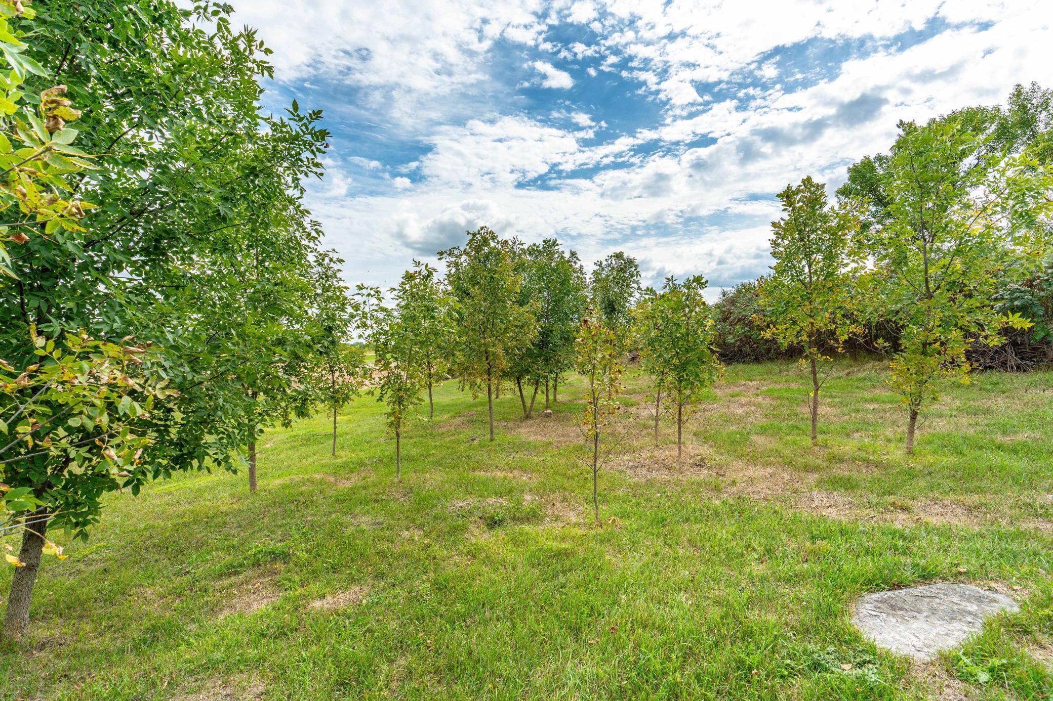 main property photo 6