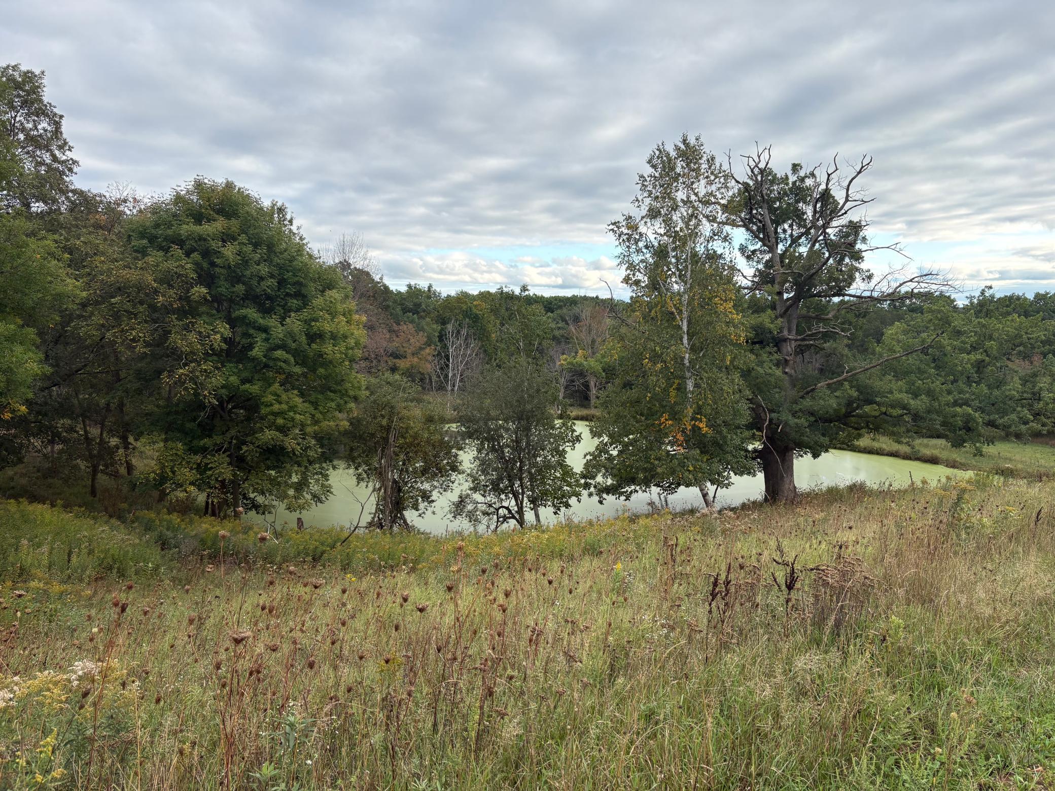main property photo 24