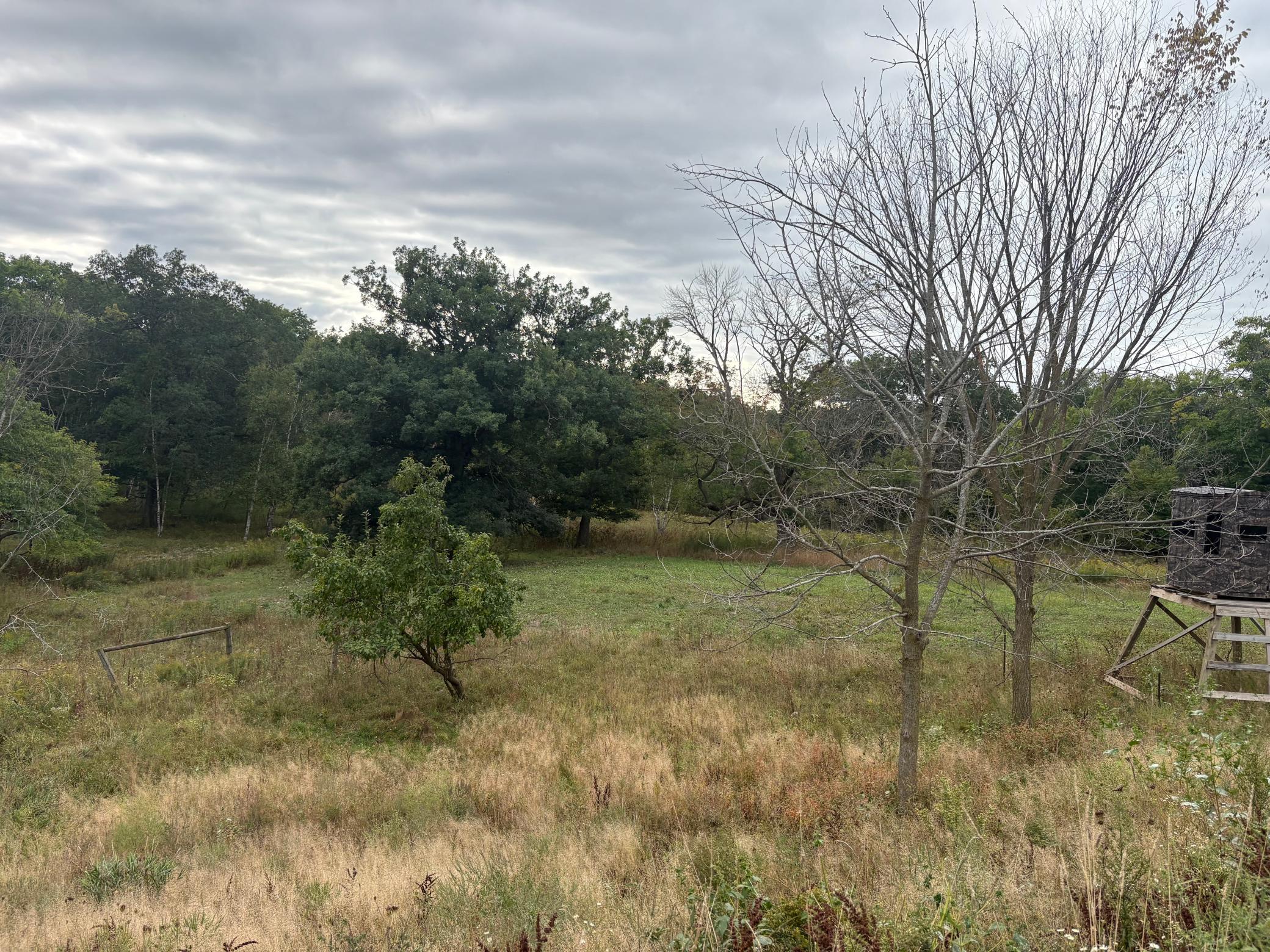 main property photo 26