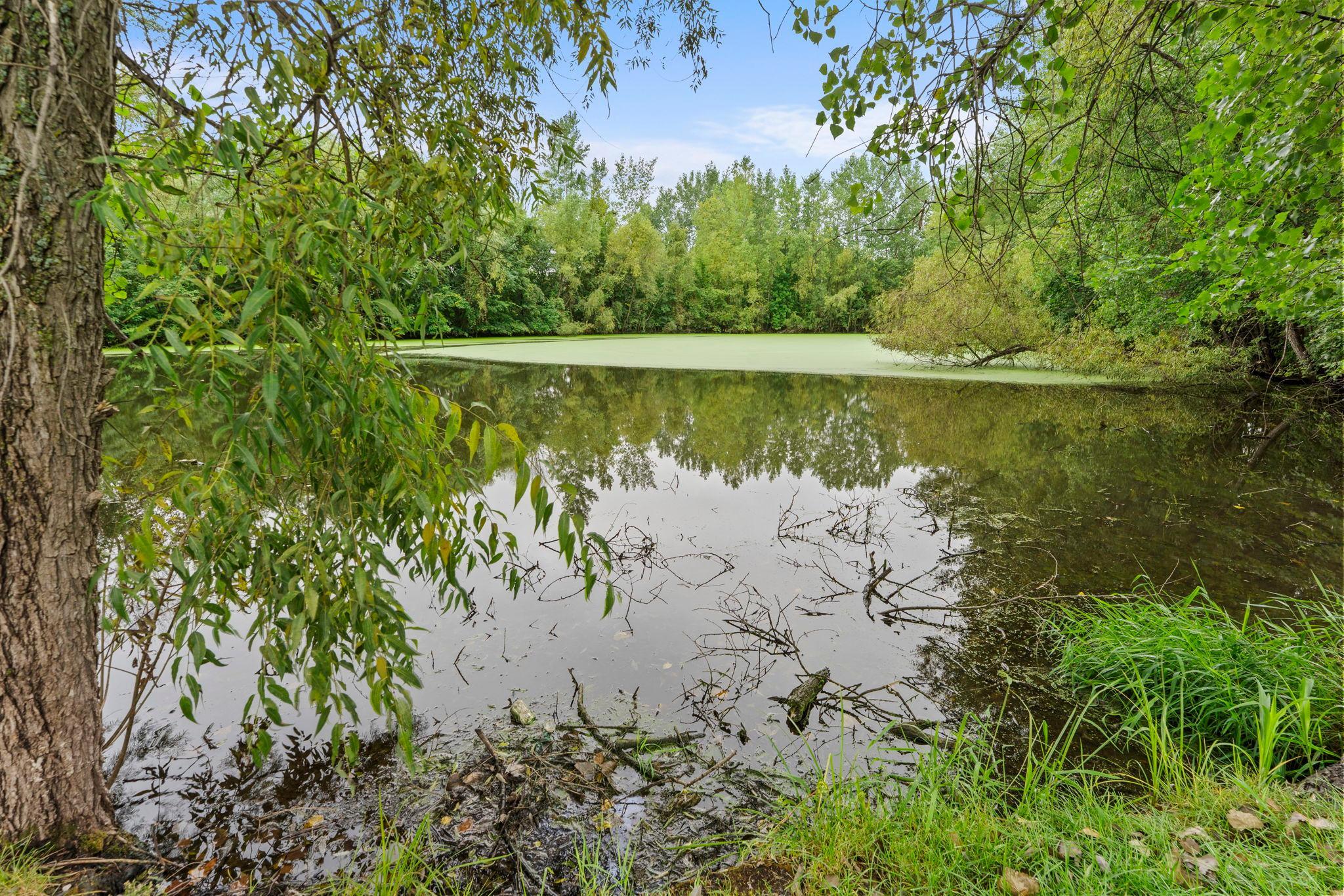 main property photo 34