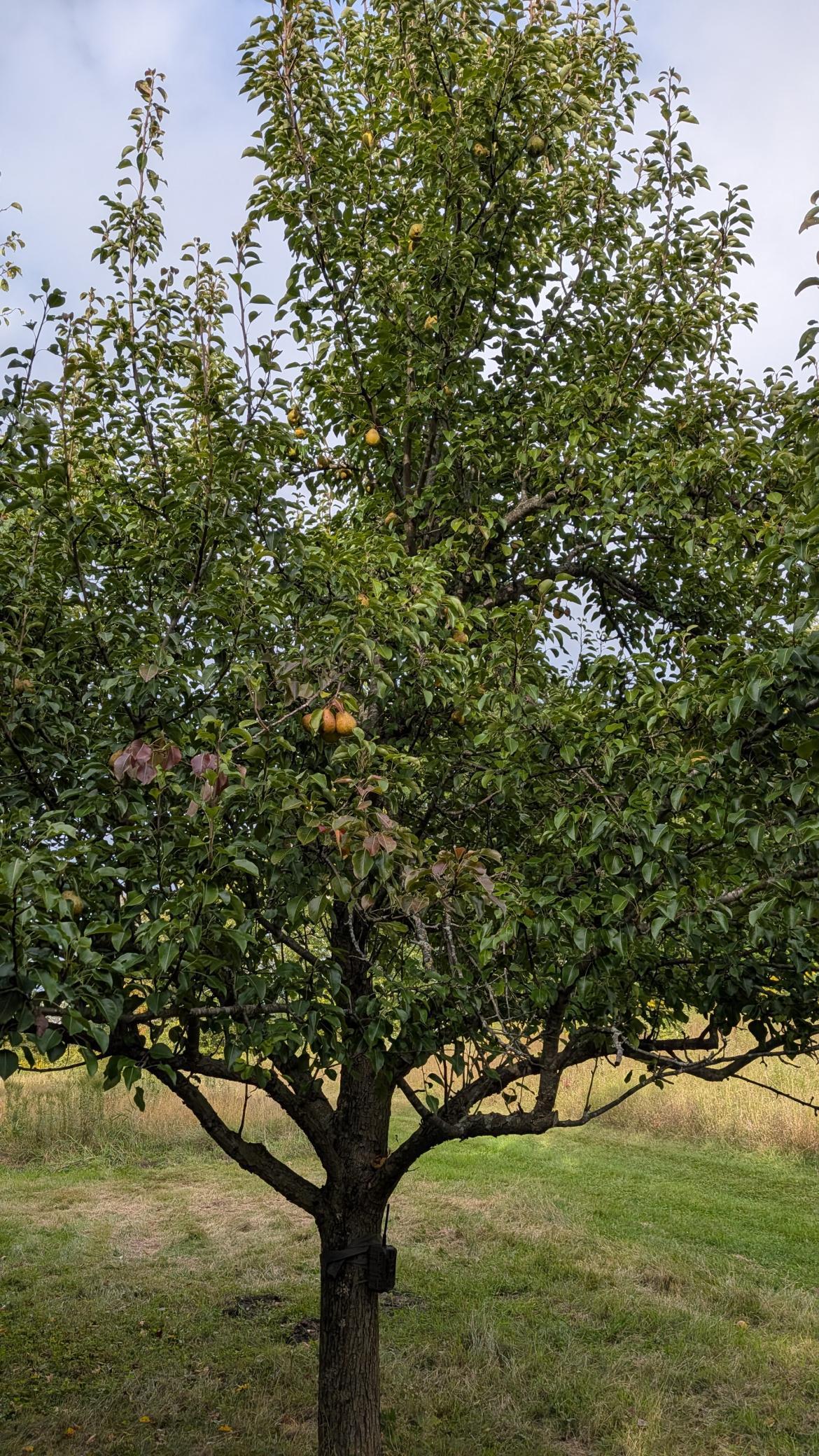main property photo 17