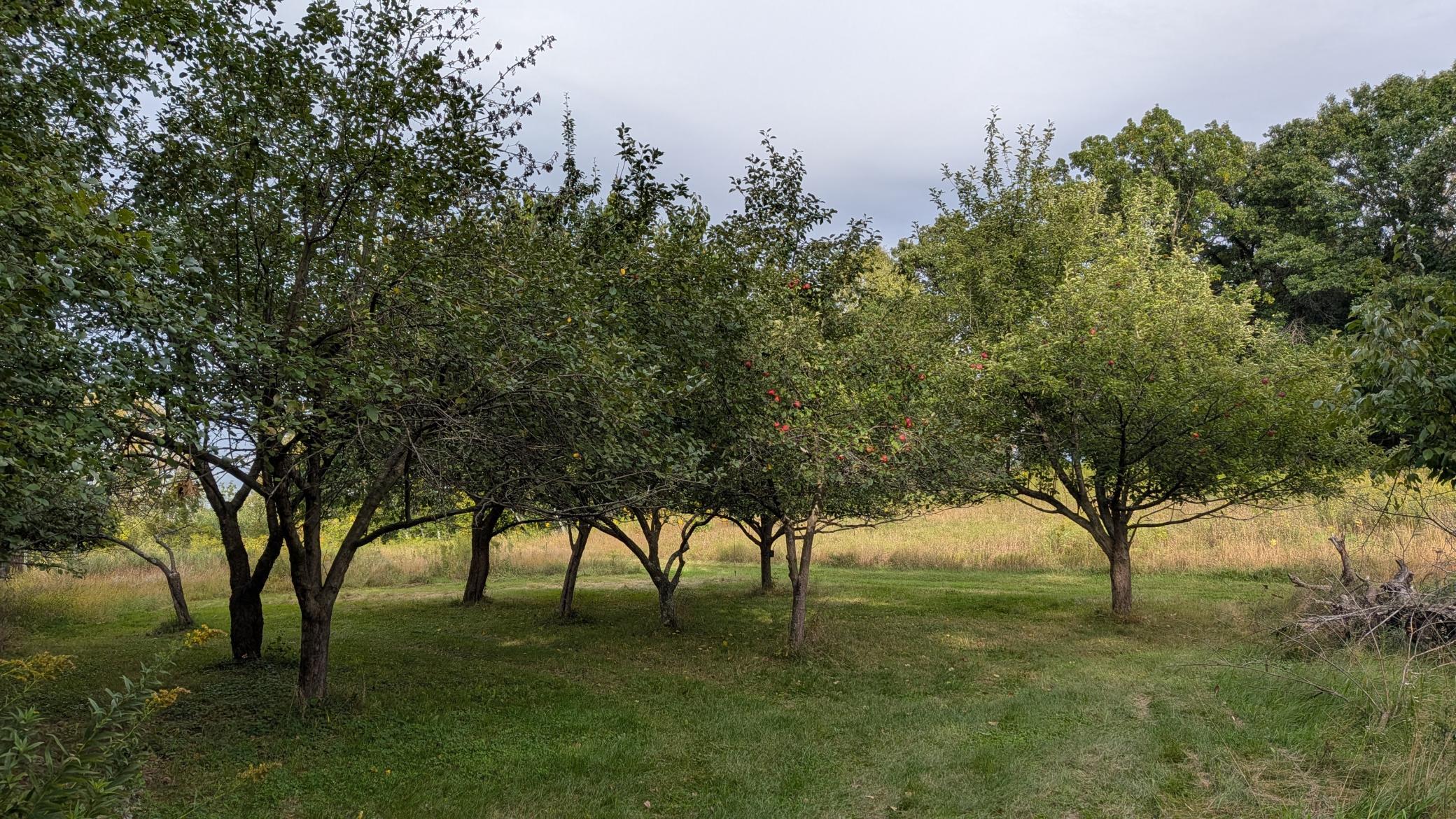 main property photo 18