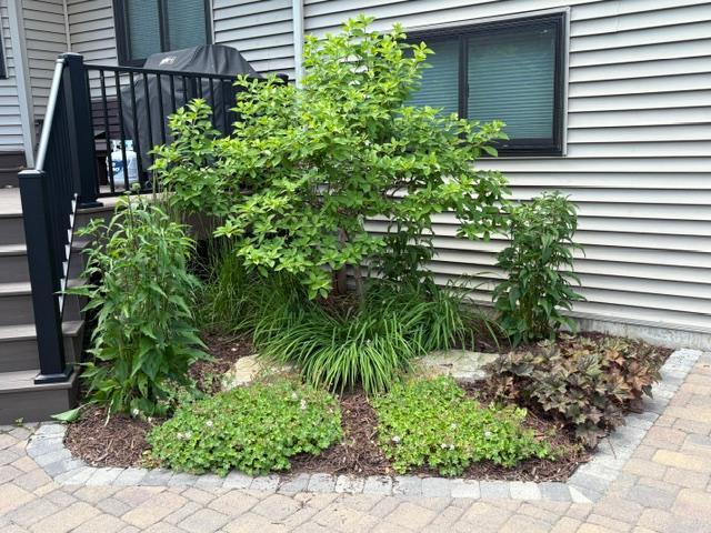 main property photo 53