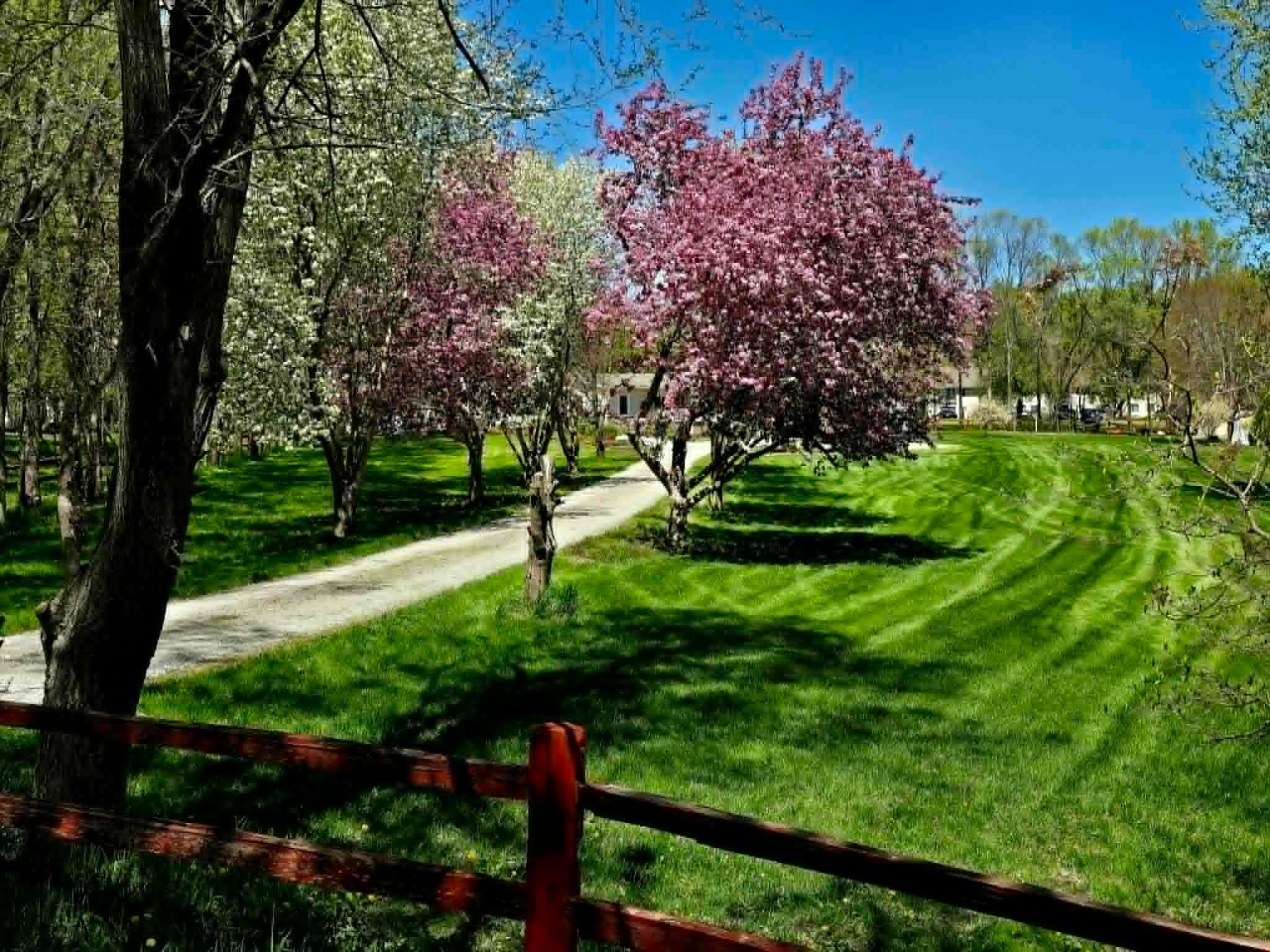 main property photo 39