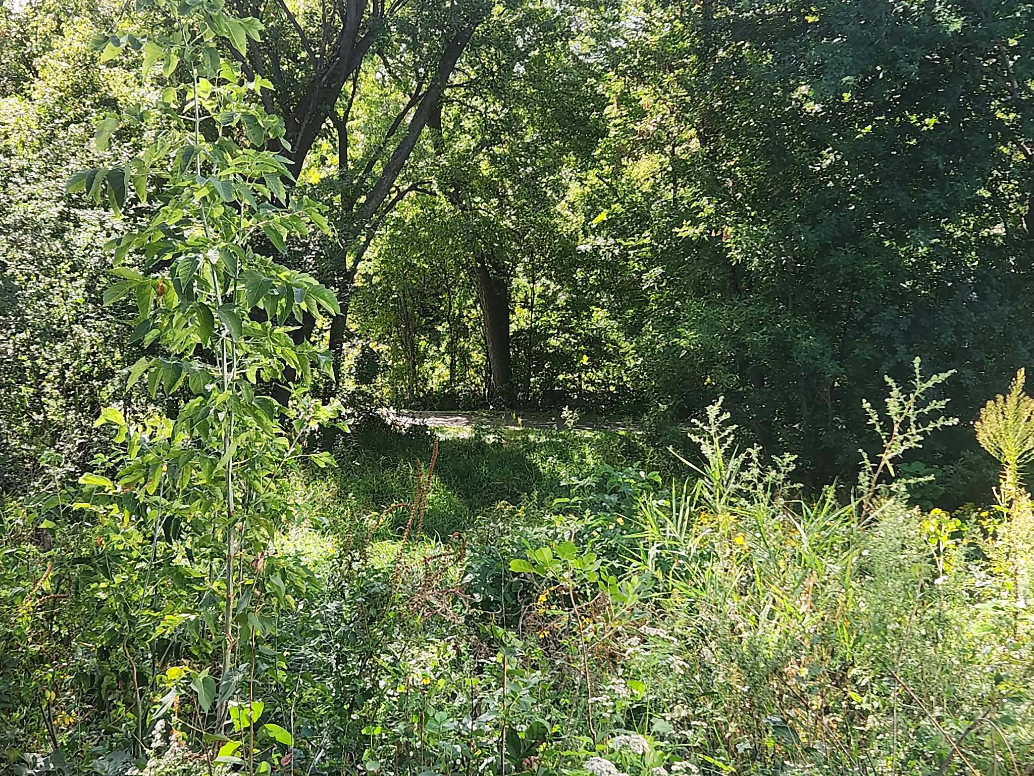 main property photo 11