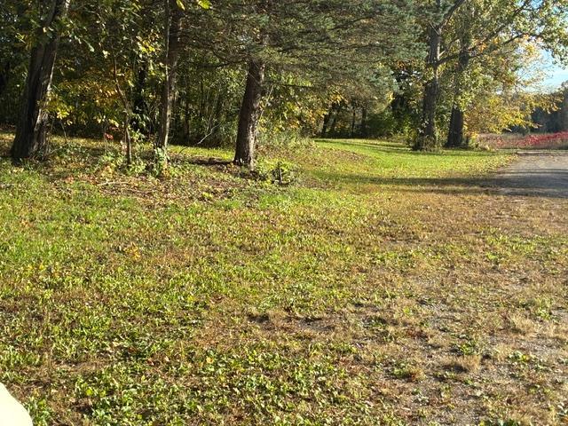 main property photo 48