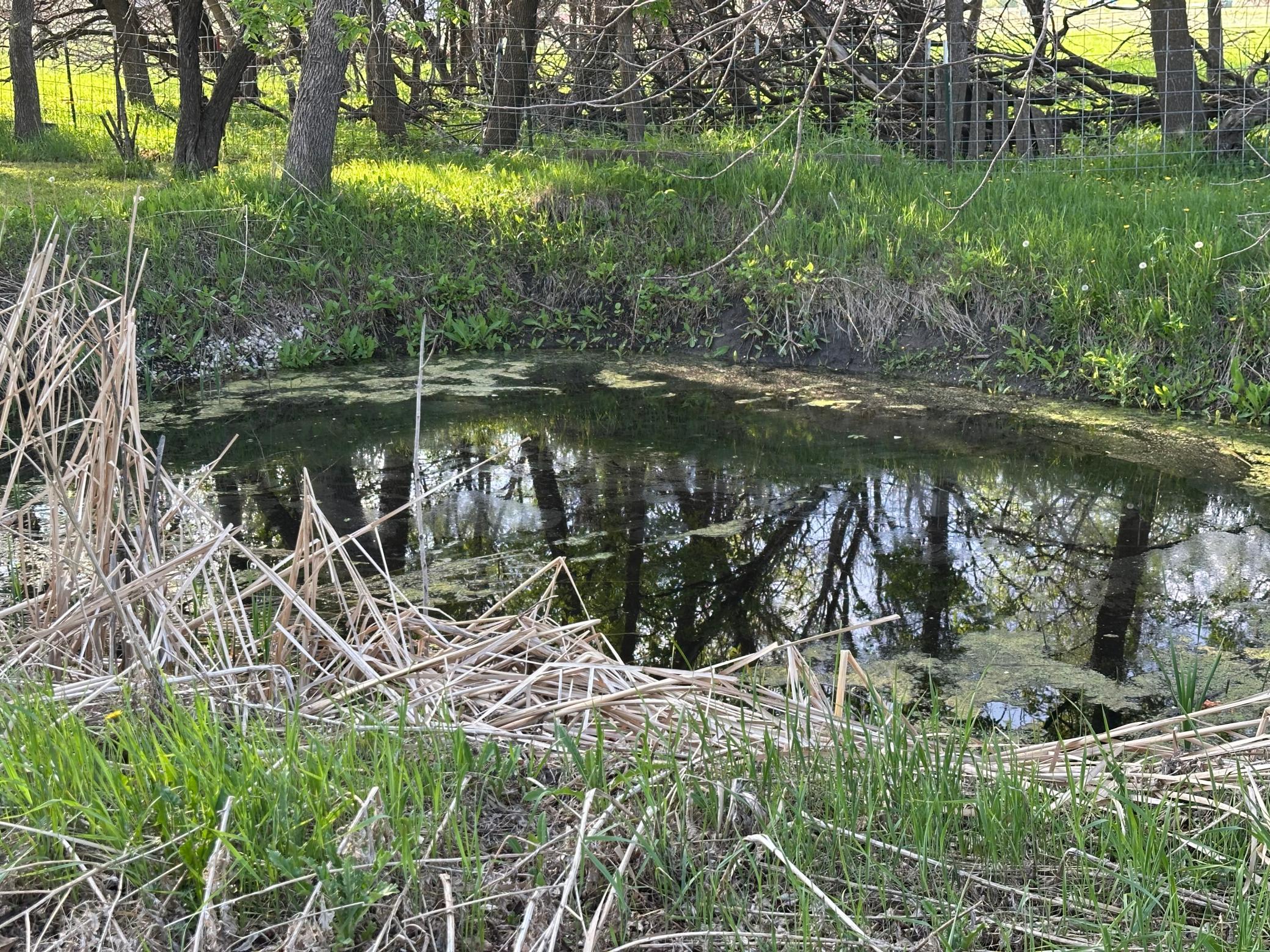 main property photo 16