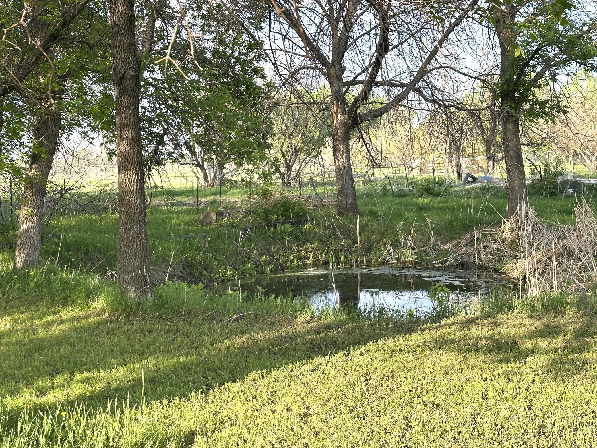 main property photo 18