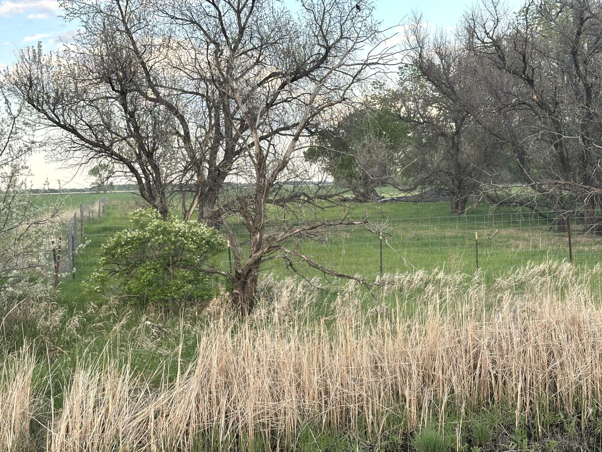 main property photo 47