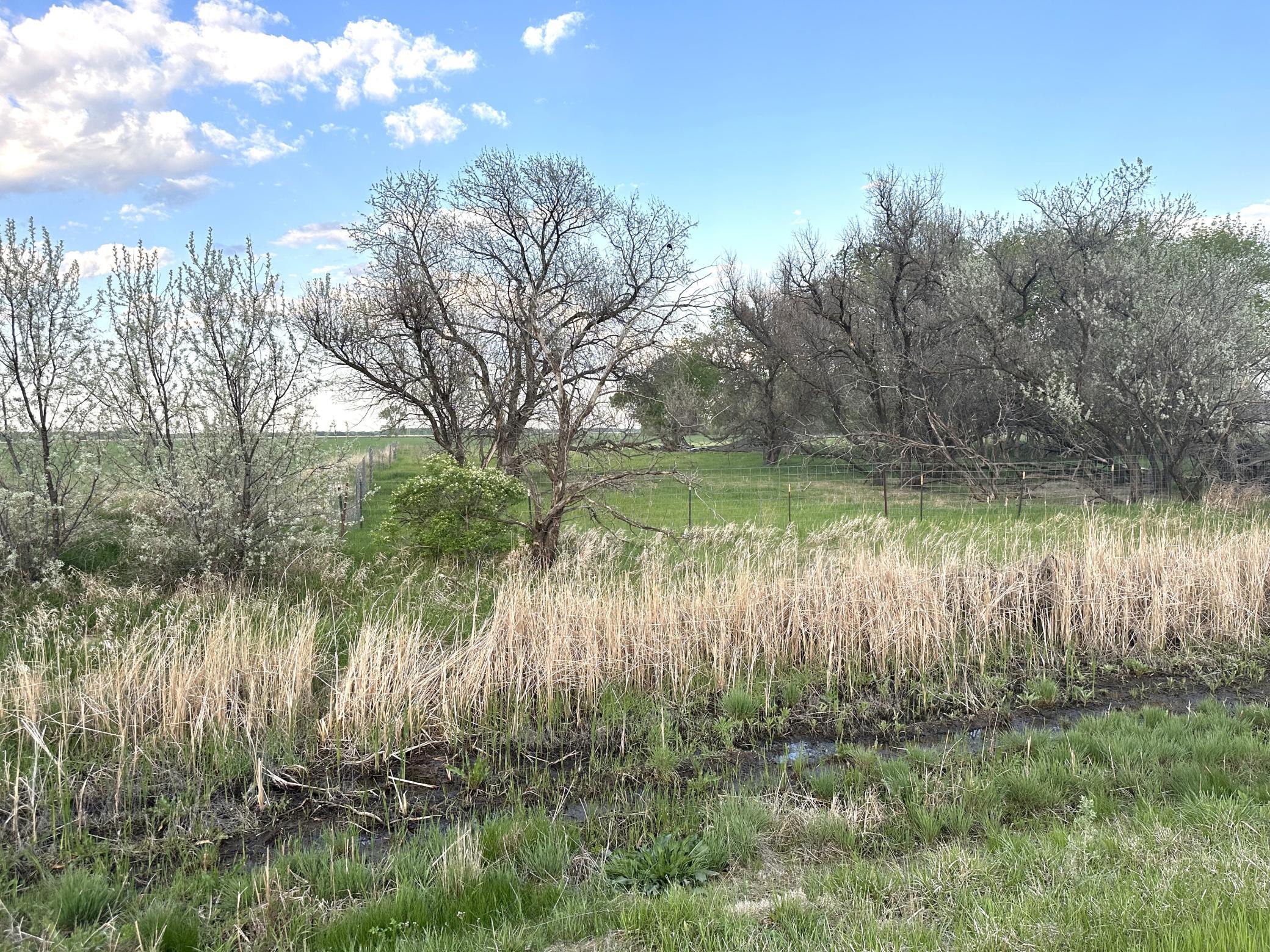 main property photo 48