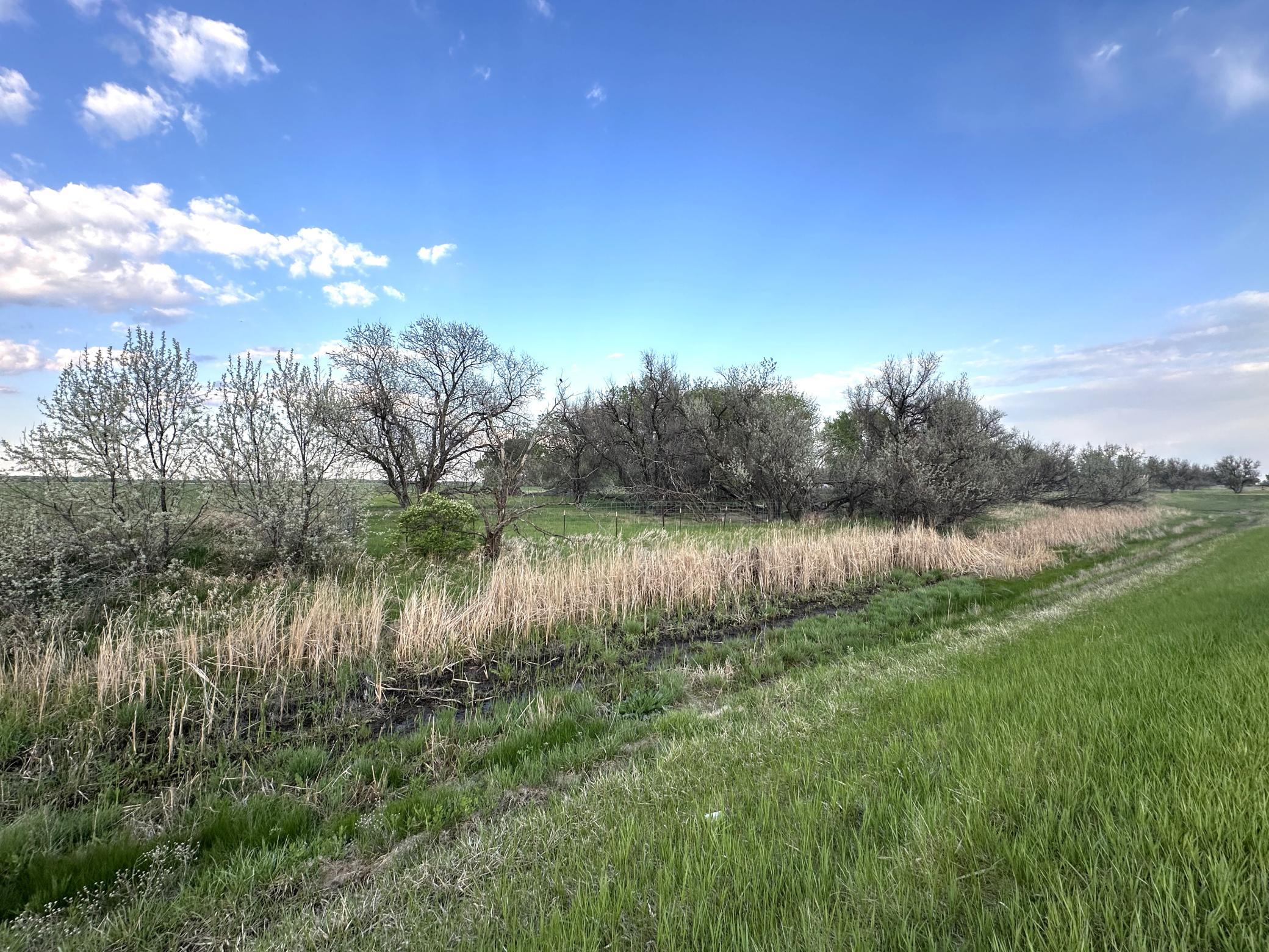 main property photo 50