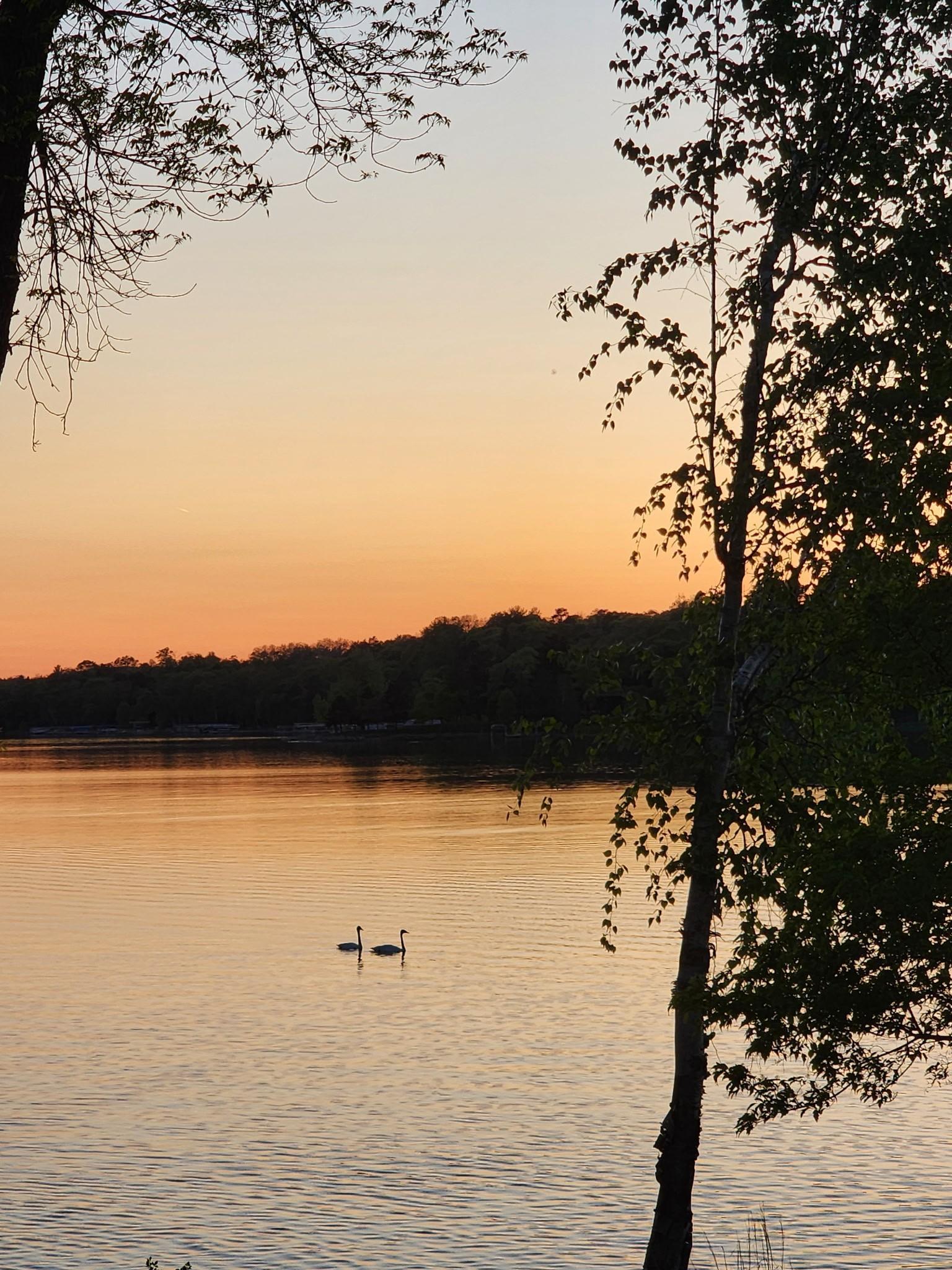 main property photo 115