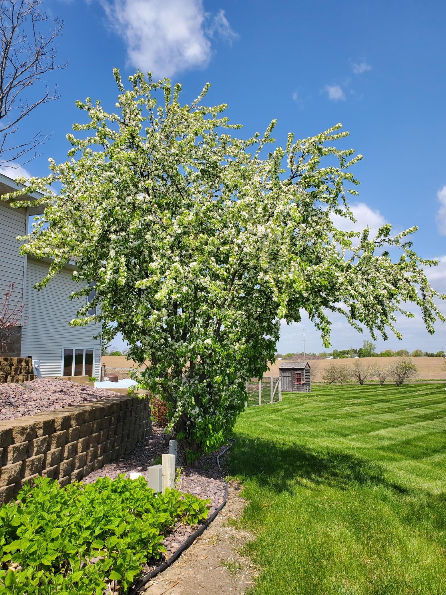 main property photo 5