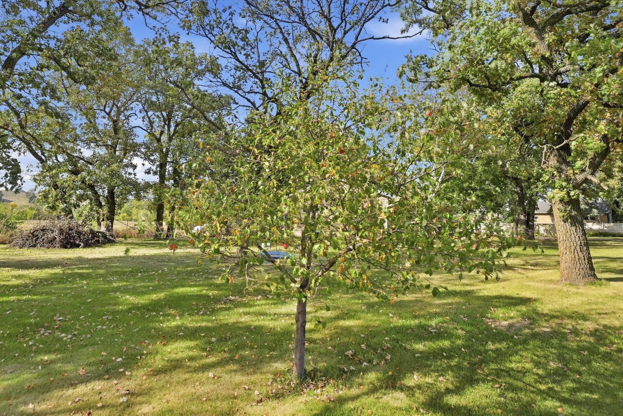 main property photo 44