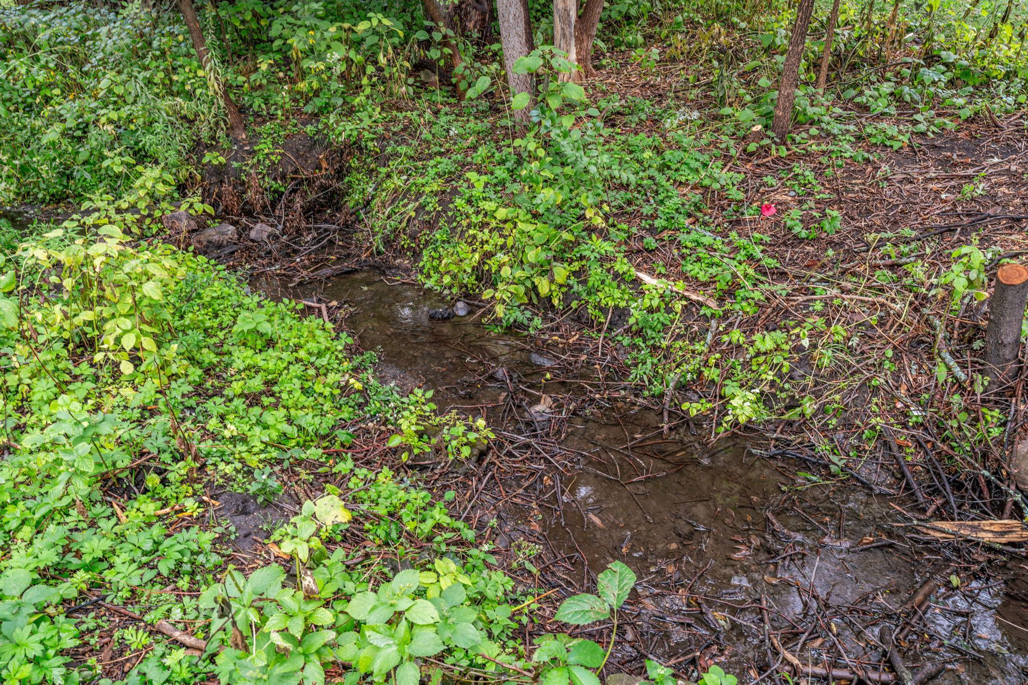 main property photo 85