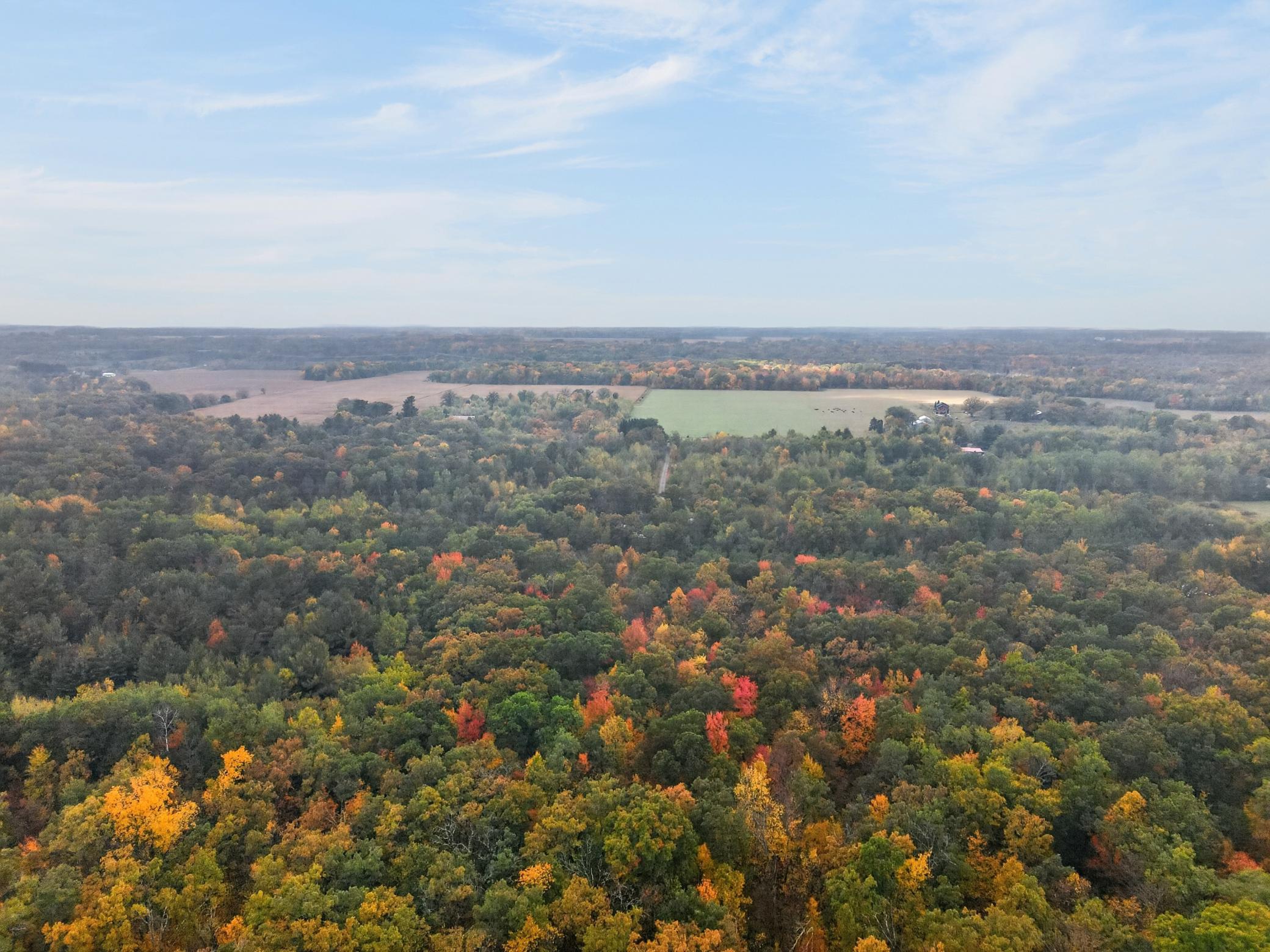 main property photo 54