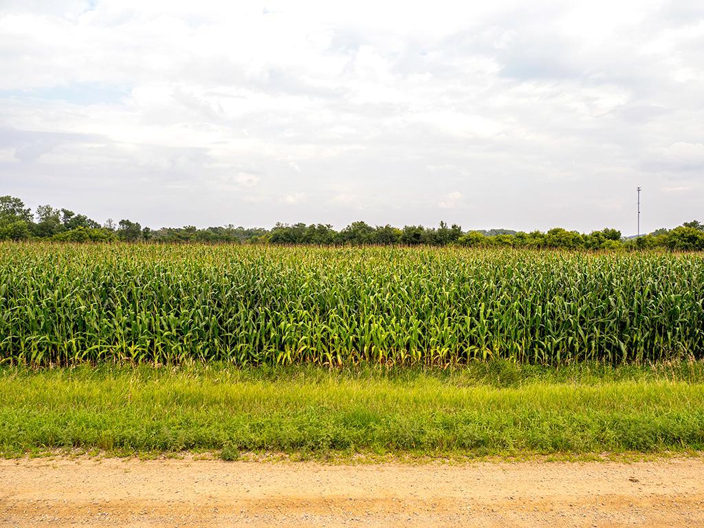 main property photo 106
