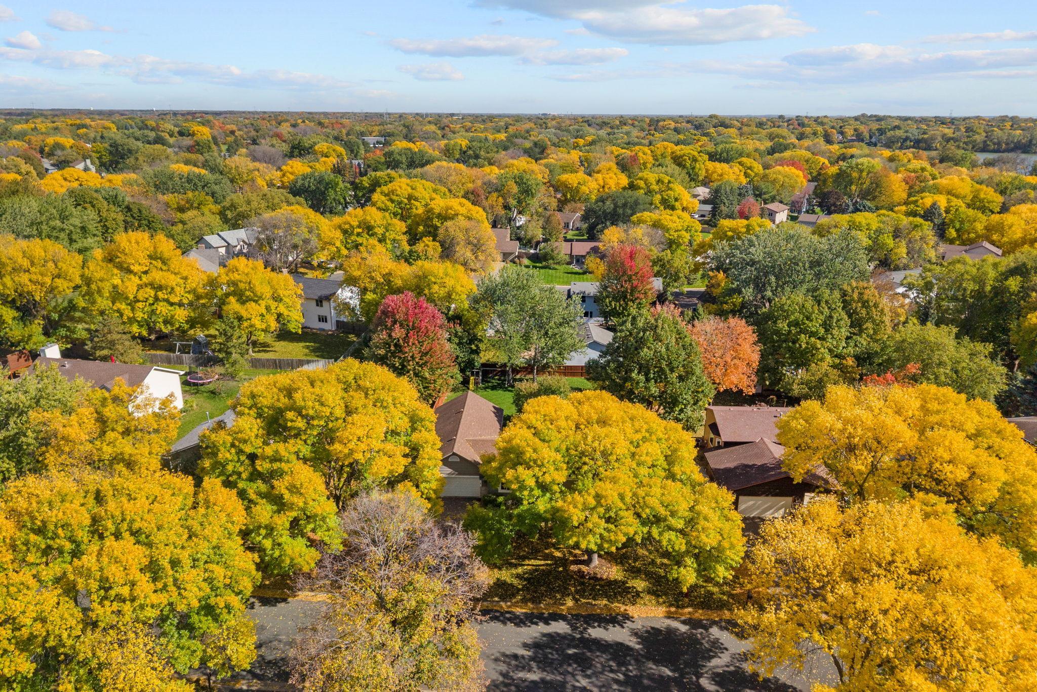 main property photo 41