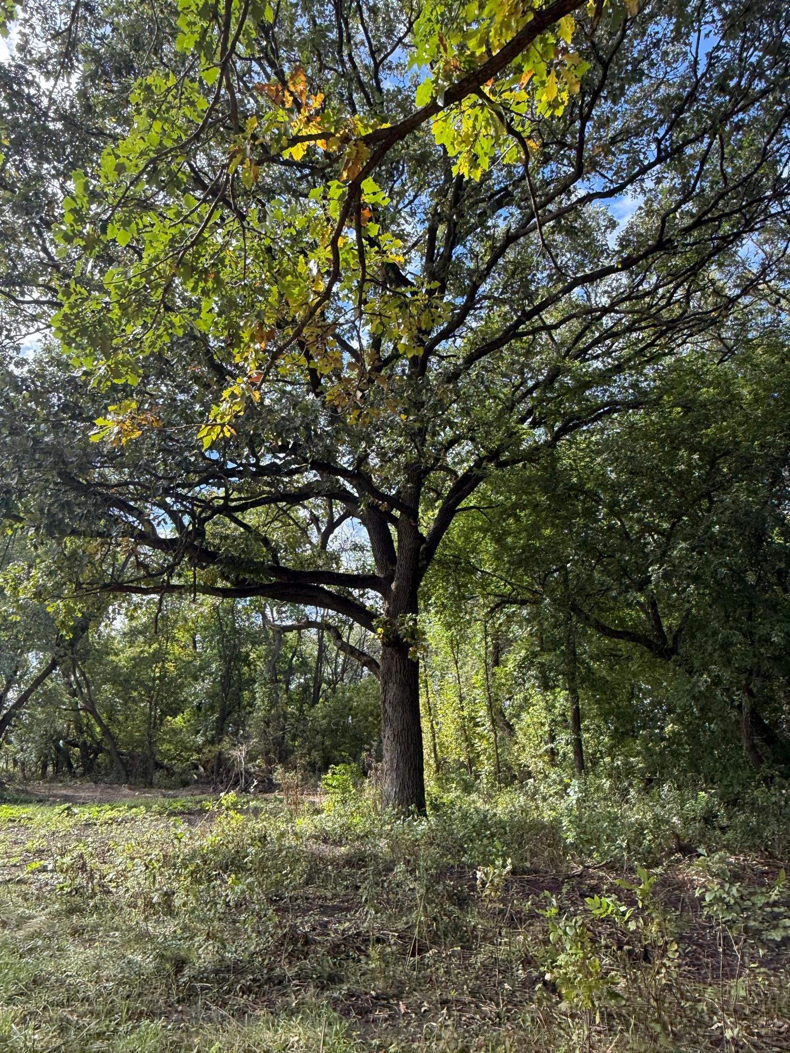 main property photo 6