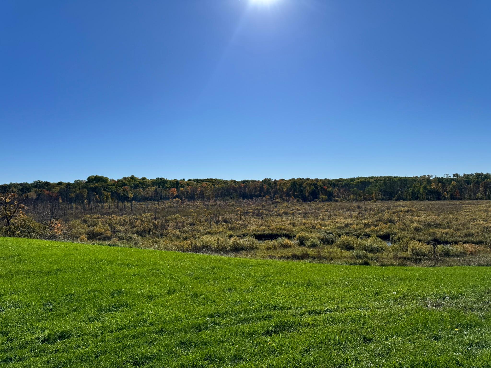 main property photo 48