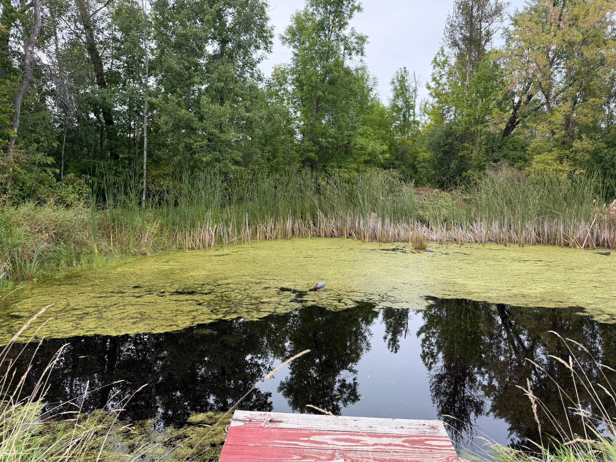 main property photo 39