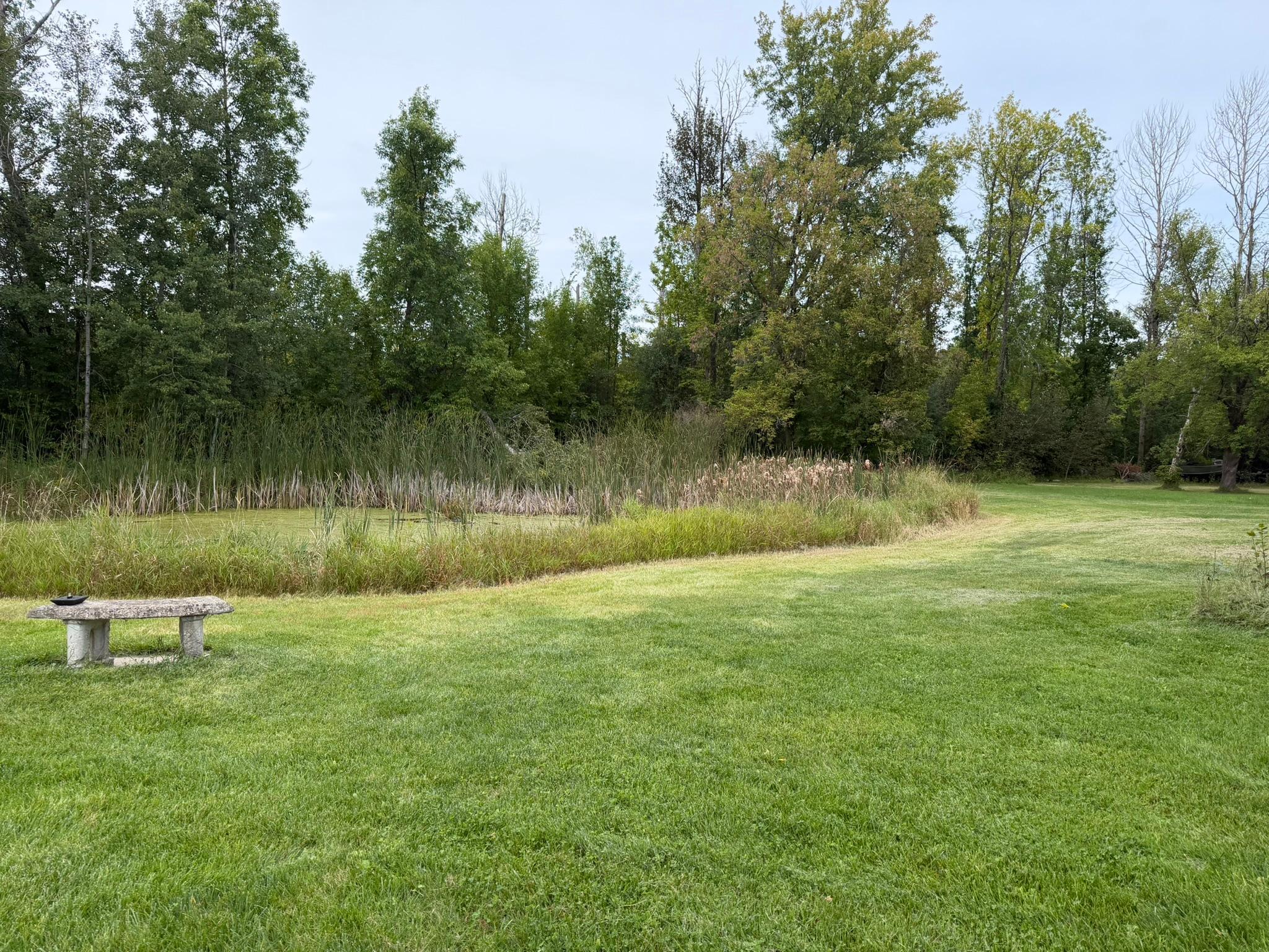 main property photo 40