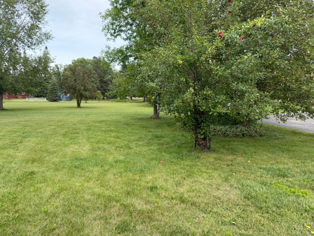 main property photo 41