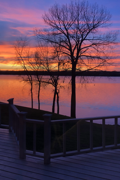 main property photo 73