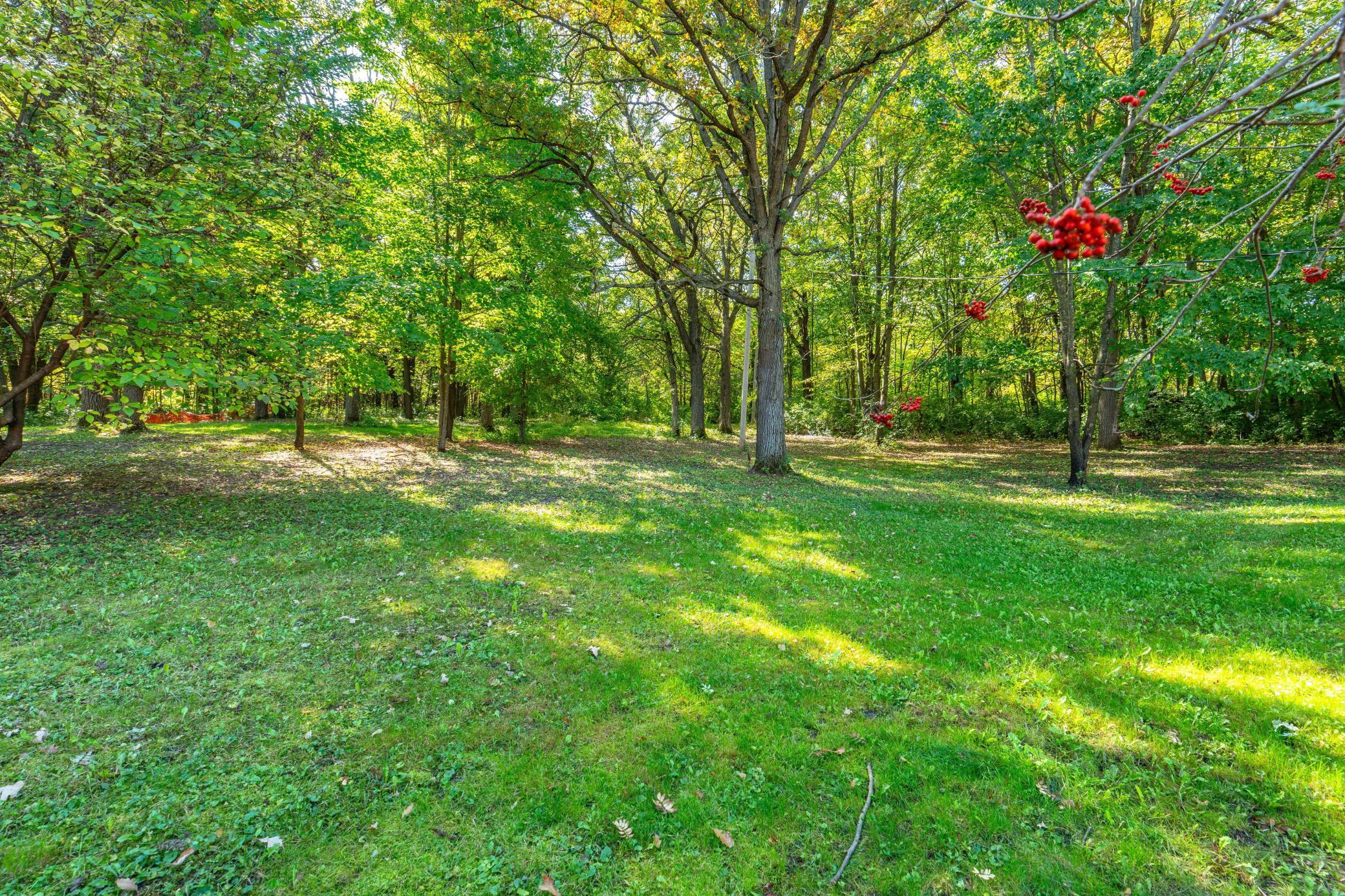main property photo 57