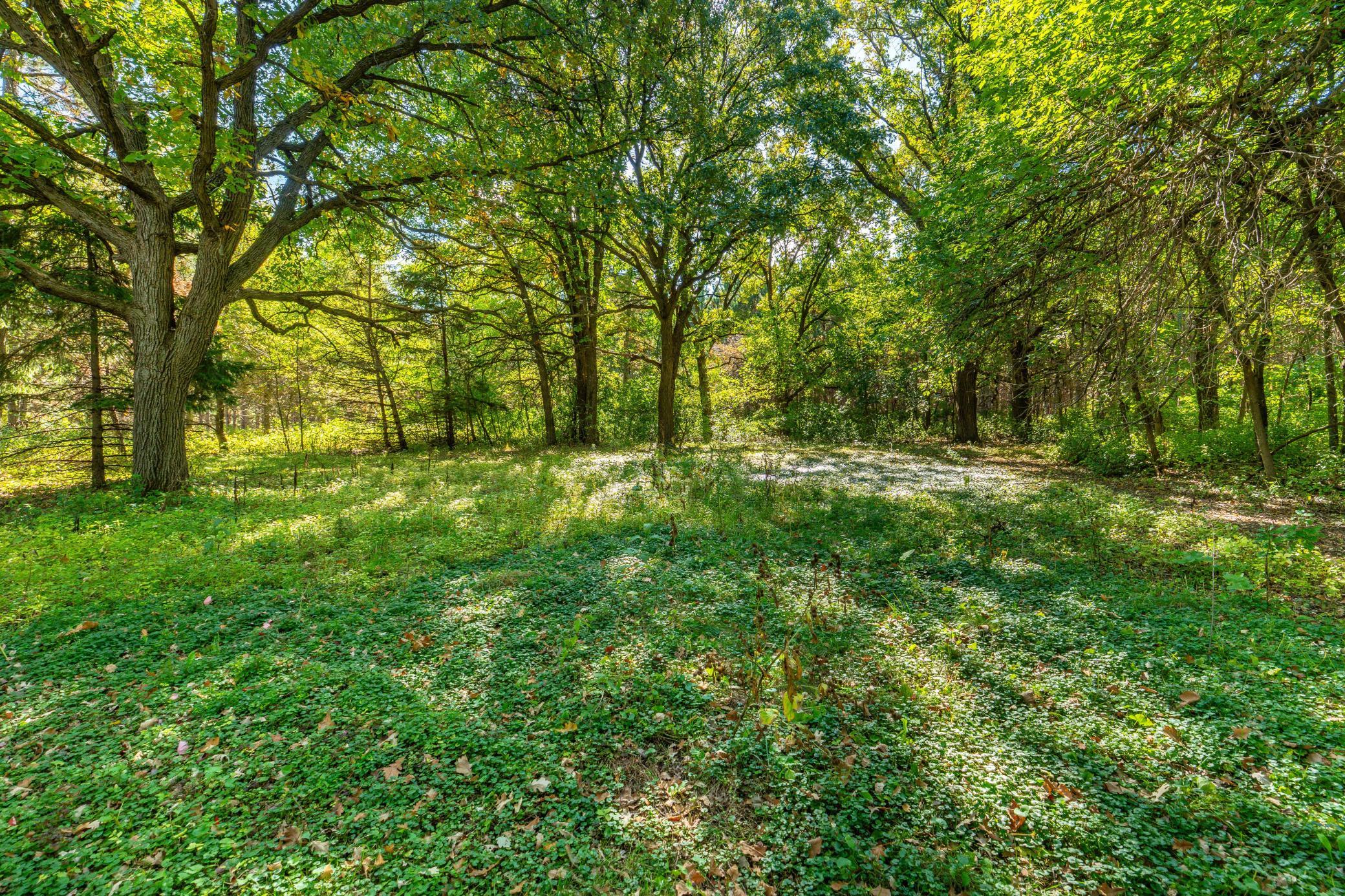 main property photo 60