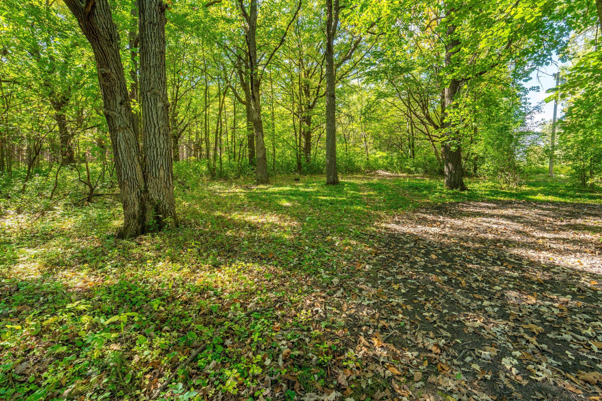 main property photo 61