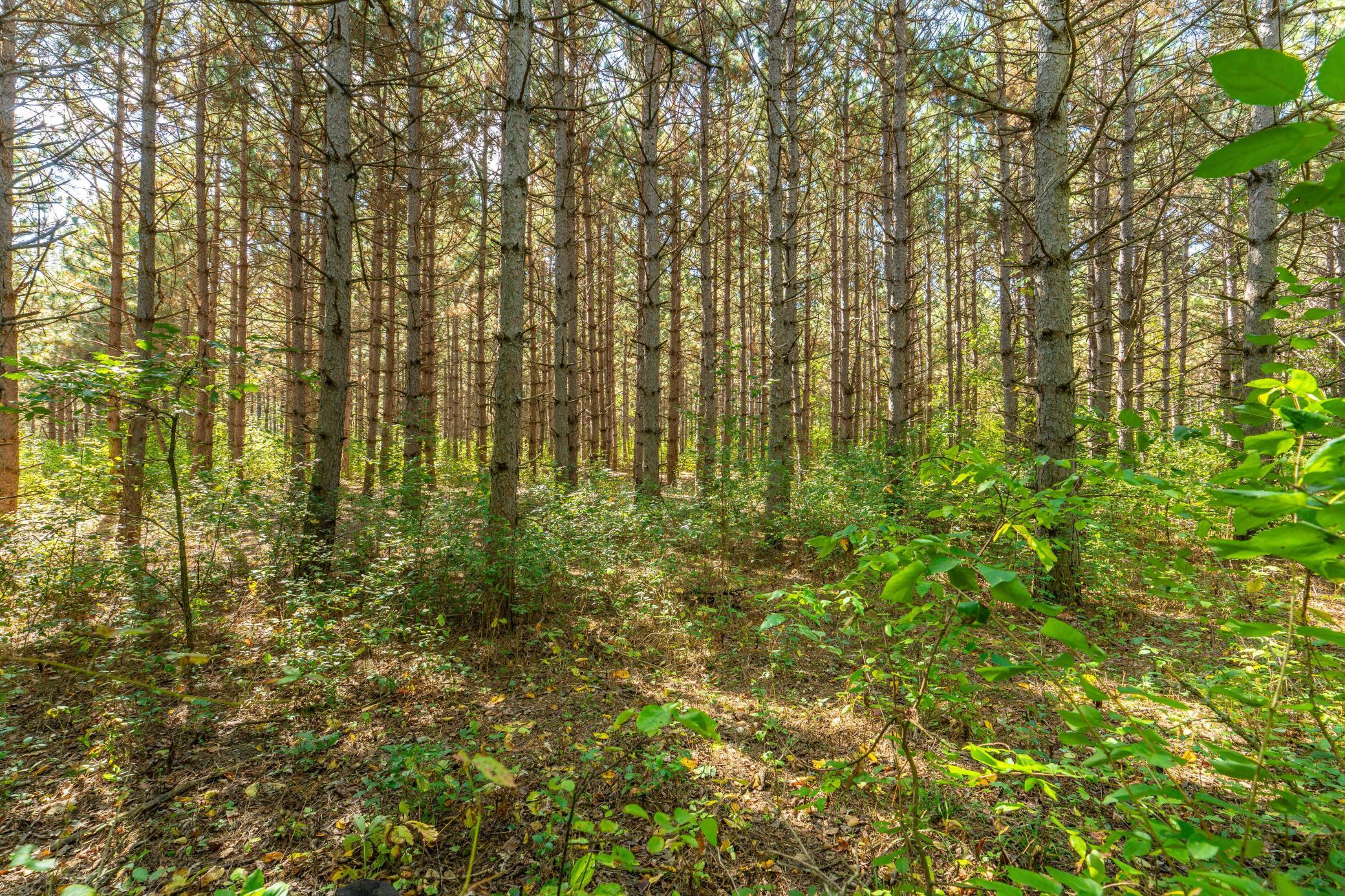 main property photo 62