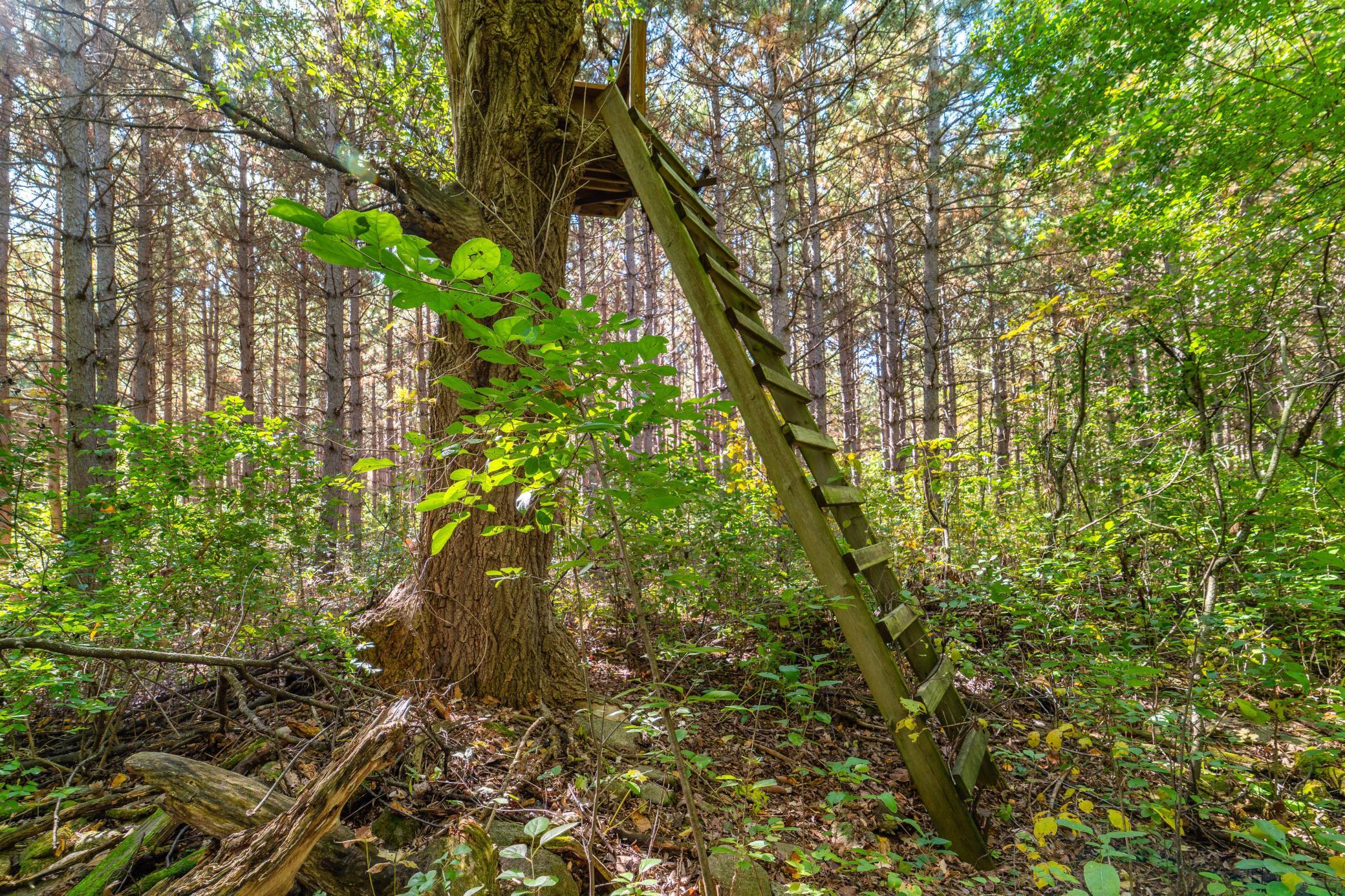 main property photo 63