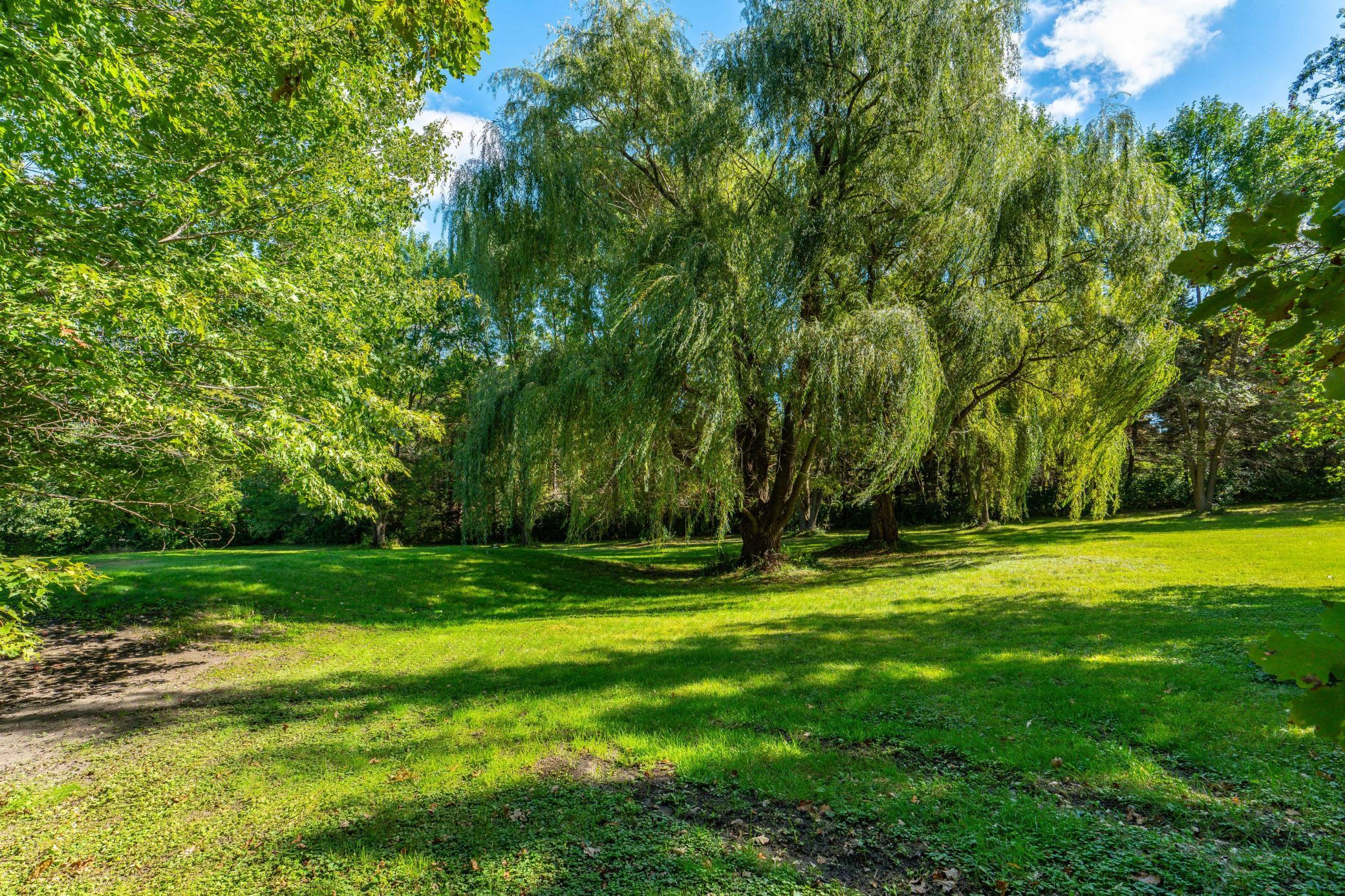 main property photo 65