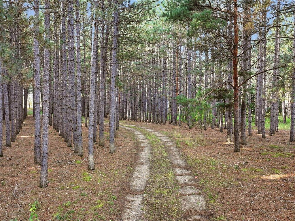 main property photo 62