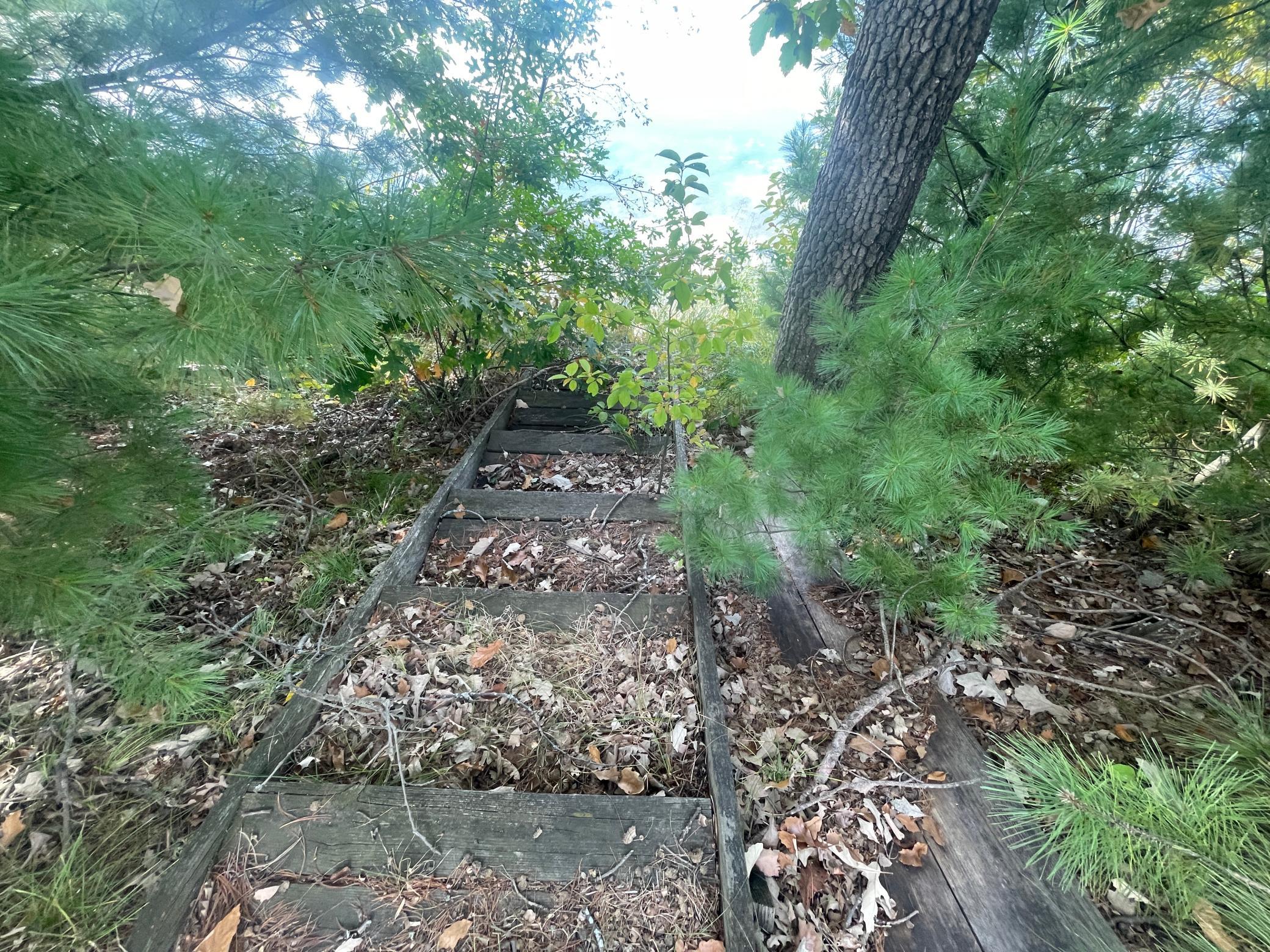 main property photo 31